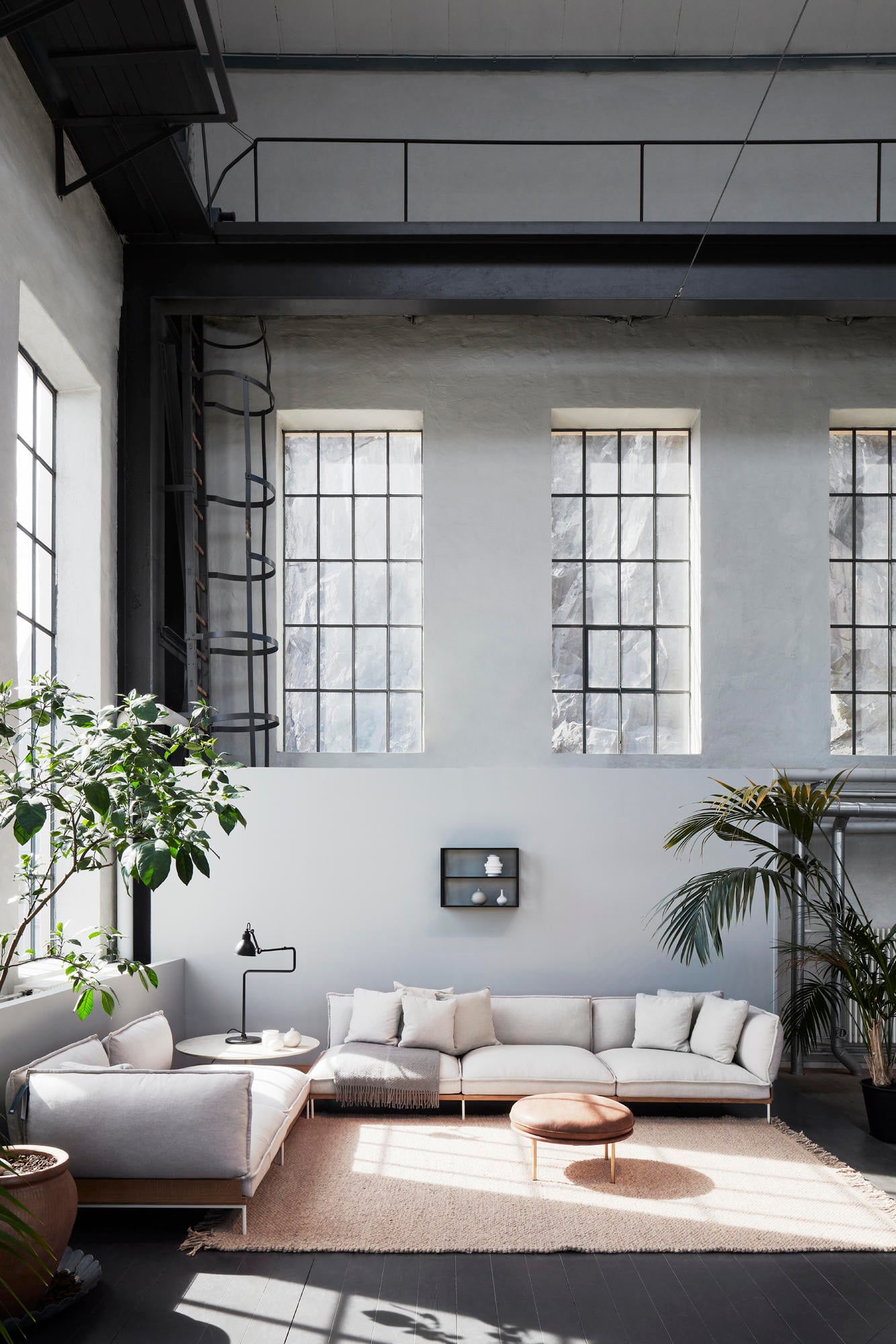 Fogia Concept Store, Europe — Minimalist loft with sculptural white sectional, natural light through industrial windows, potted palms, concrete ceiling, Scandinavian interior design.