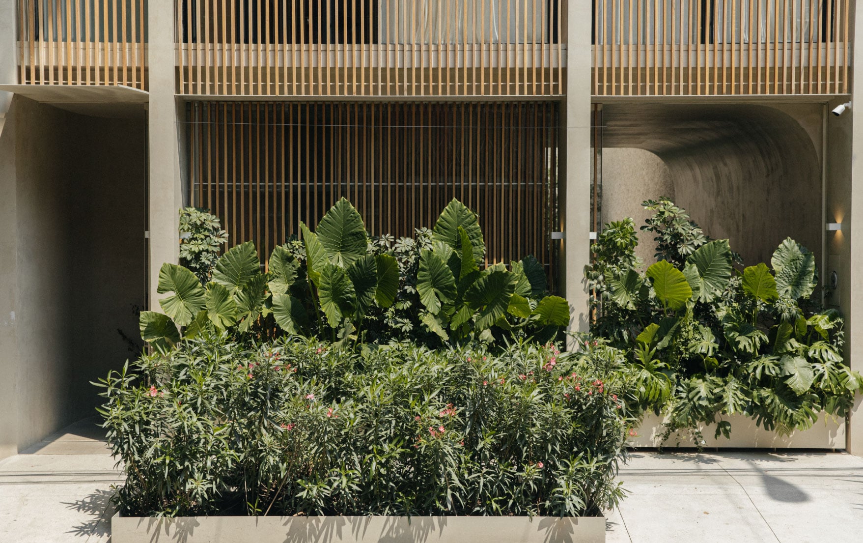 Octavia Casa, Mexico — Minimalist courtyard with lush tropical plants, large-leaf philodendrons, flowering shrubs, vertical wood slat screens, and polished concrete surfaces in bright daylight.