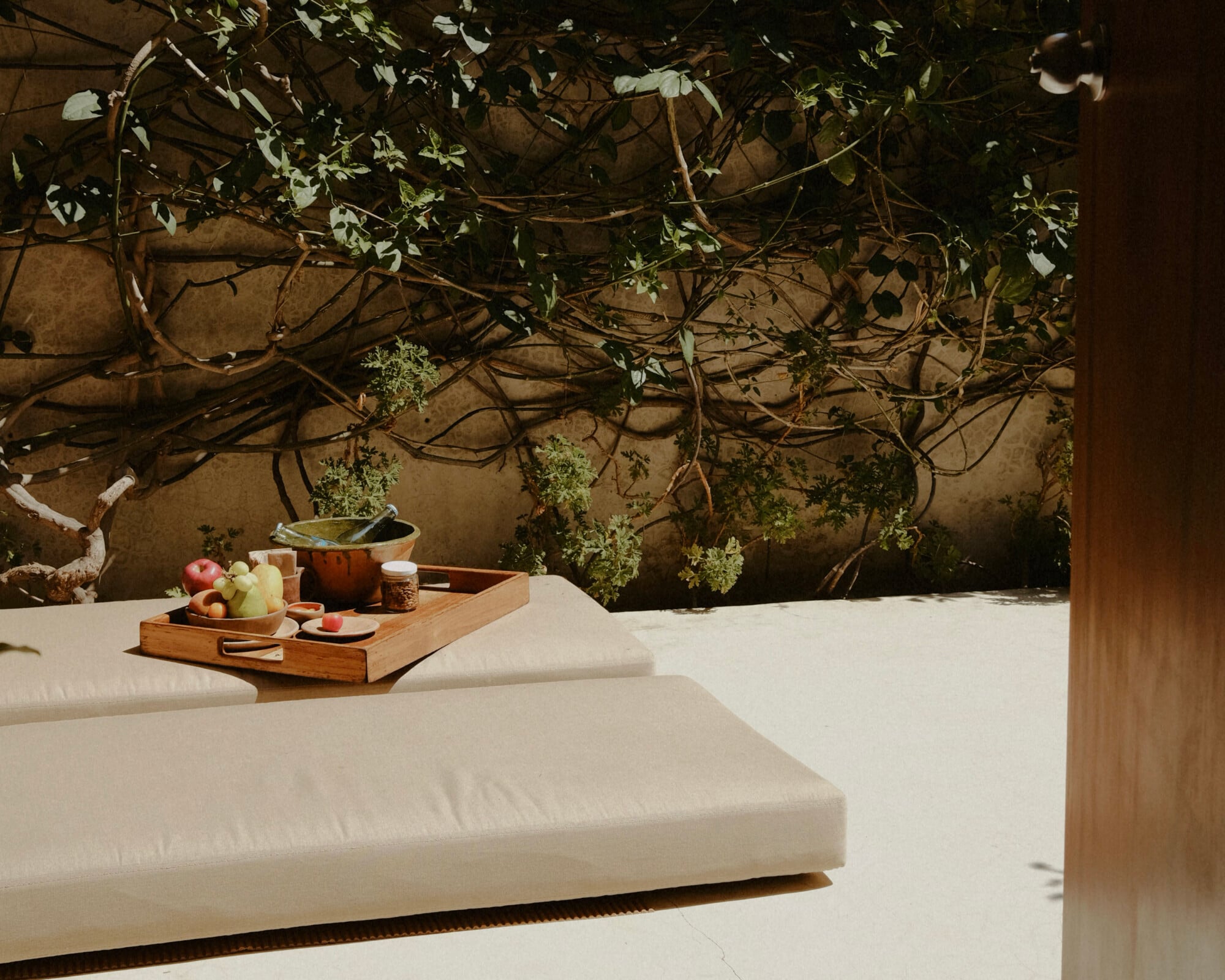 Casa Criollo, Mexico — Minimalist courtyard with cream lounge seating, wooden tray of fresh fruit, cascading vines and potted plants against terracotta wall, natural light and shadow.