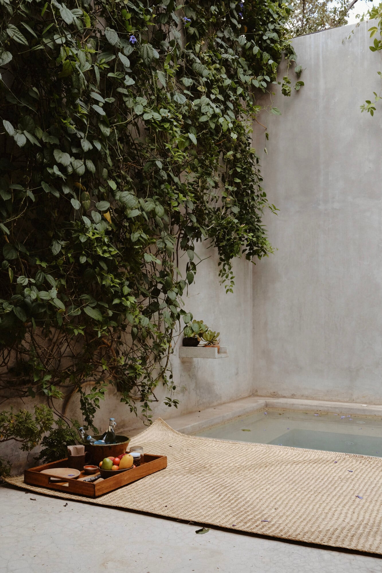 Casa Criollo, Mexico — Minimalist courtyard with climbing vines cascading down concrete wall, wooden tray with fresh fruit and wine bottle on woven mat, serene architectural detail.