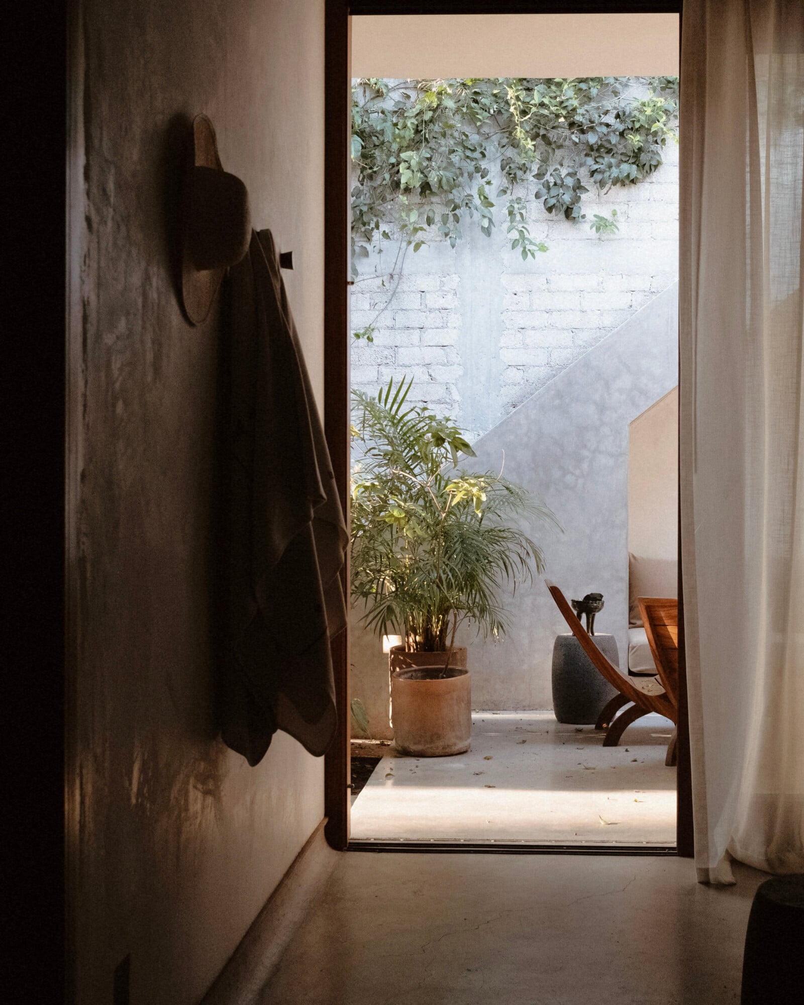 Casa Criollo, Mexico — Minimalist hallway with open courtyard view, potted palms, whitewashed walls, natural light, earthy tones.
