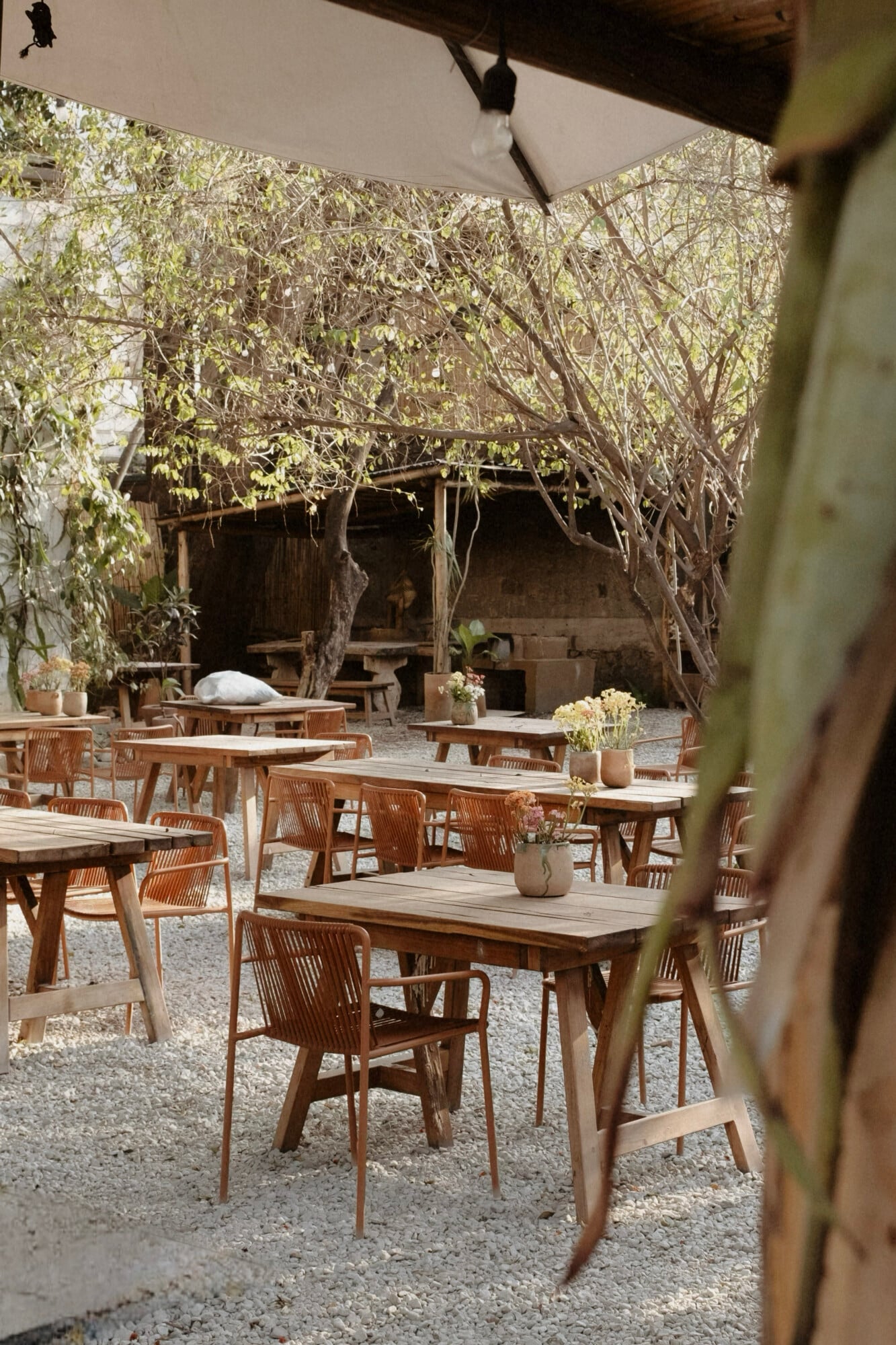 Casa Criollo, Mexico — Shaded courtyard dining with wooden tables, woven chairs, potted flowers, and climbing vines overhead creating dappled light and natural elegance.
