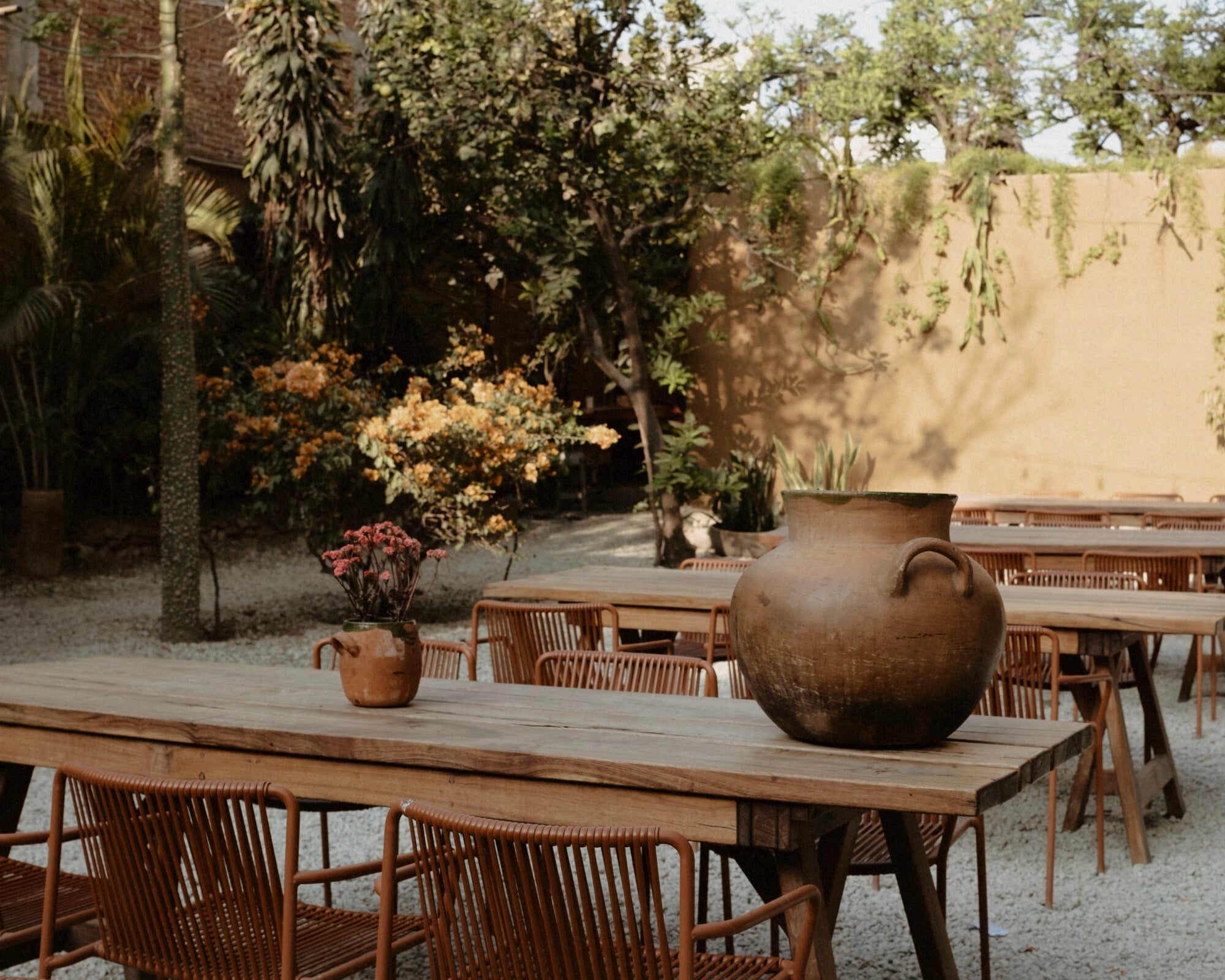Casa Criollo, Mexico — Courtyard dining with wooden tables, woven chairs, terracotta vessels, and mature trees casting dappled shadows on sand flooring.