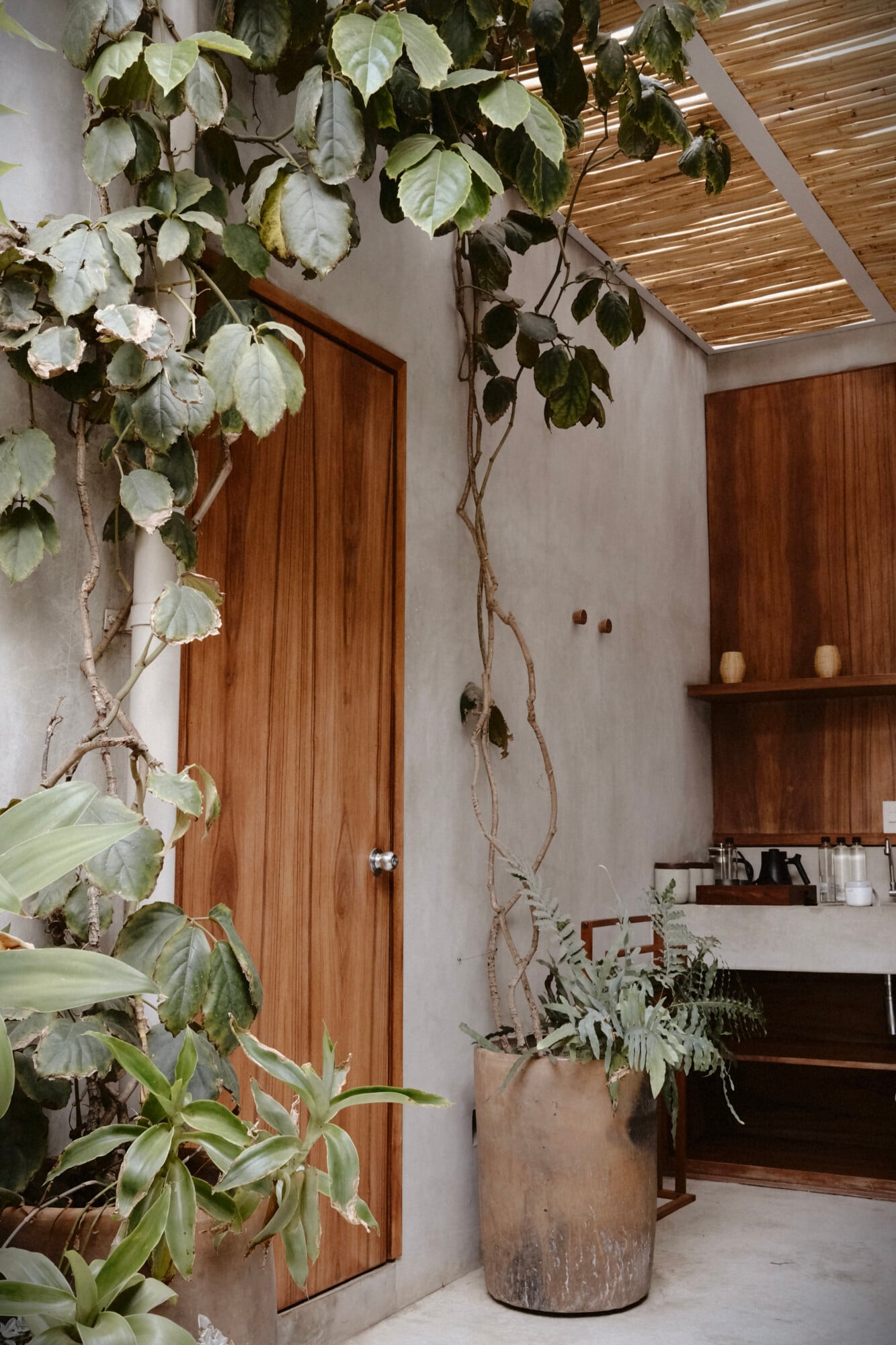 Ourdoor Kitchen at Casa Criollo, Oaxaca City