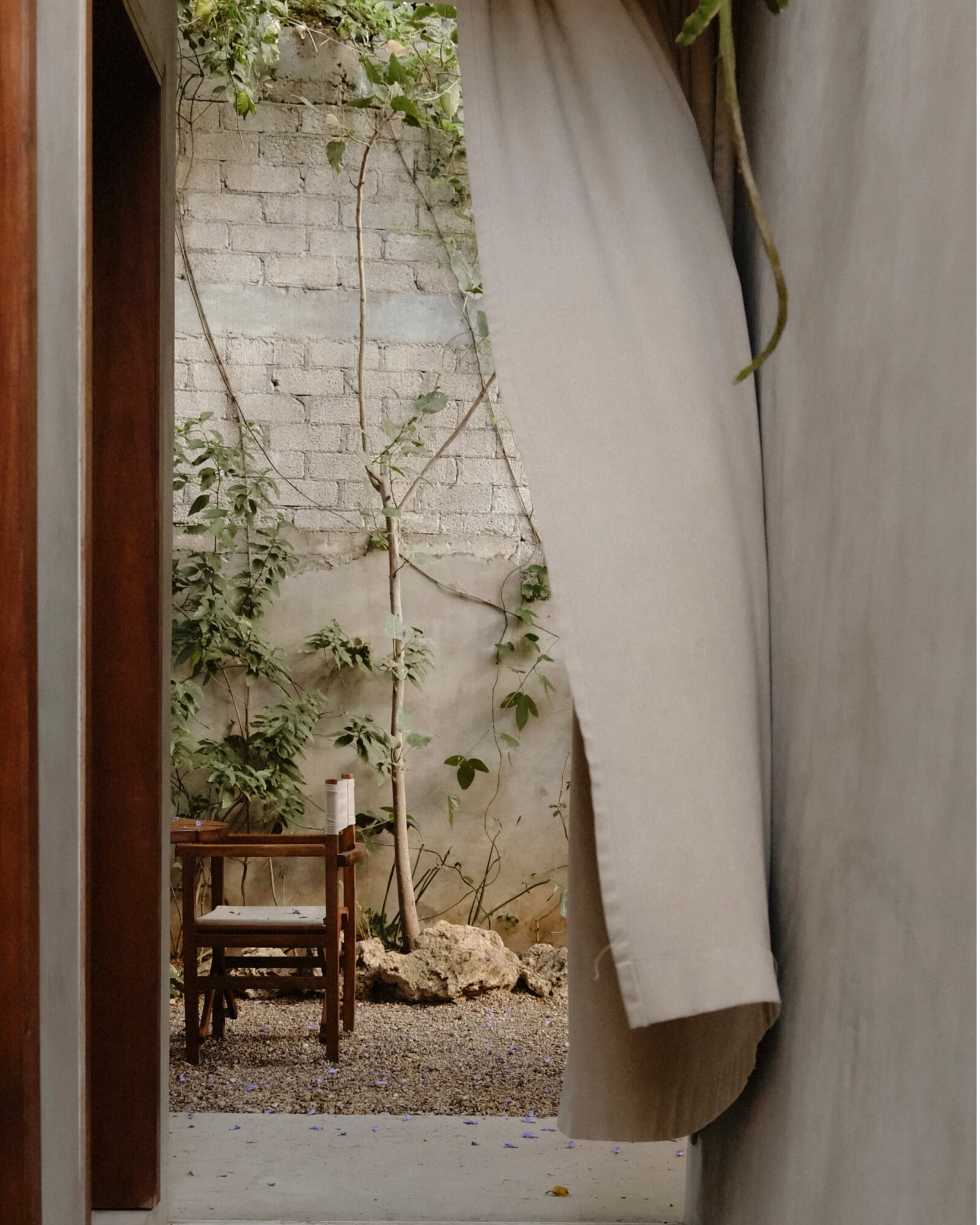 Casa Criollo, Mexico — Whitewashed brick courtyard with climbing vines, wooden chair, gravel flooring, and natural light filtering through linen curtain.