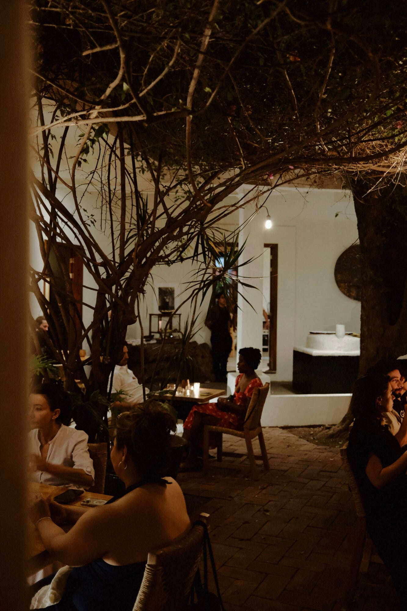 Casa Criollo, Mexico — Courtyard at night with gnarled tree branches overhead, guests seated on chairs, white walls and warm ambient lighting creating intimate gathering space.