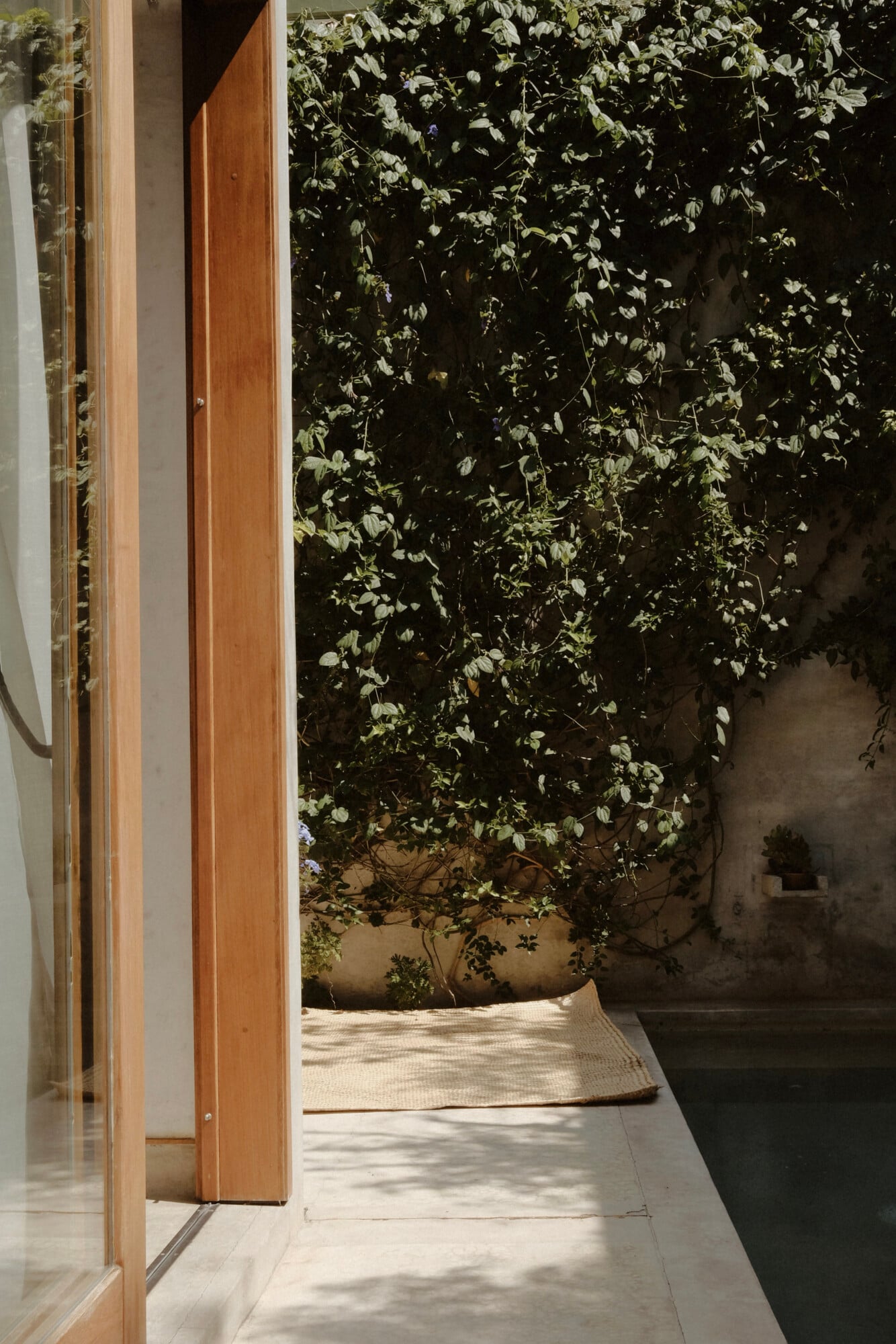 Casa Criollo, Mexico — Wooden door opening to minimalist courtyard with climbing ivy, pale stone flooring, and dappled sunlight casting shadows on whitewashed walls.