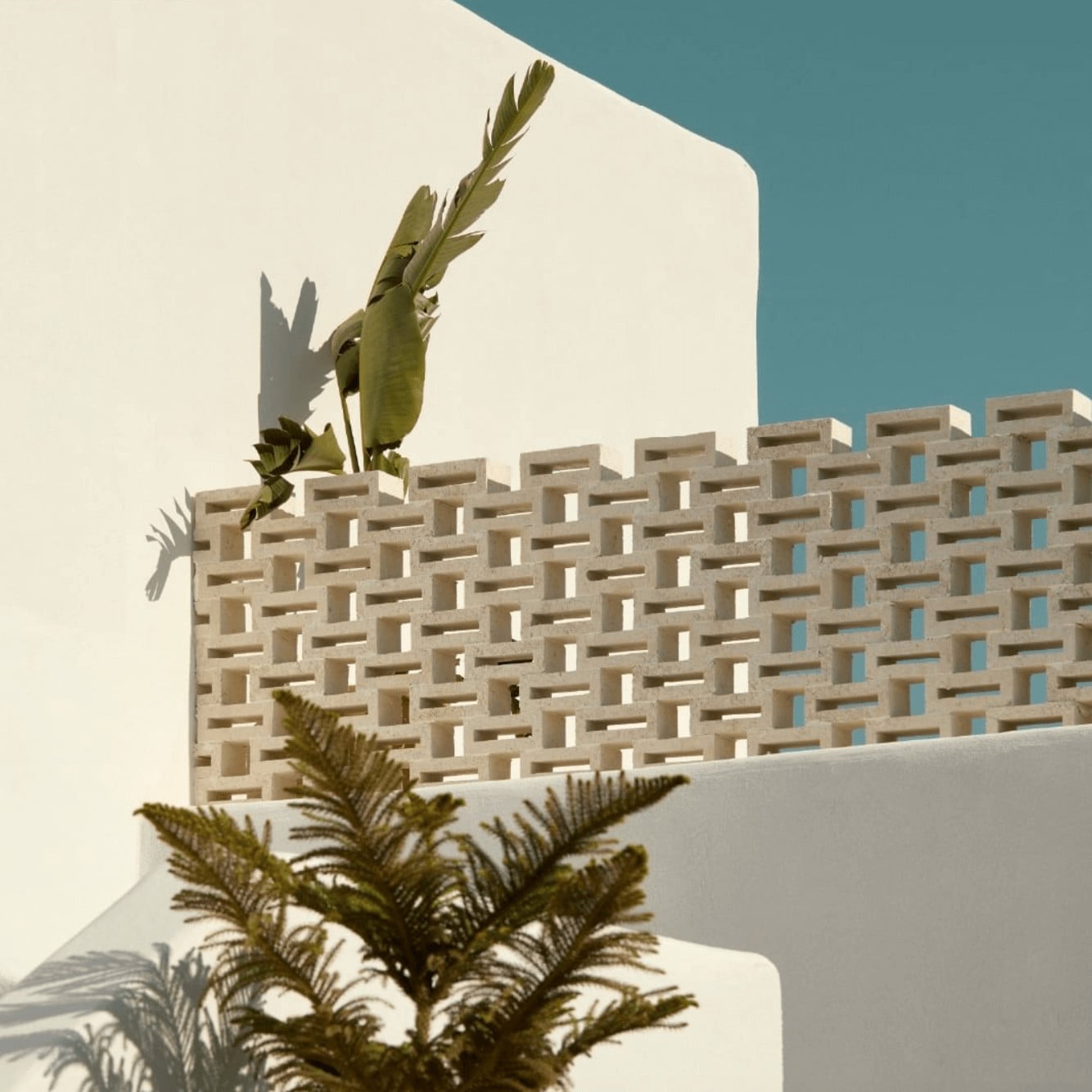 Pārocks, Europe — Brutalist concrete facade with geometric window pattern, desert plants, clear blue sky, minimalist architectural photography.