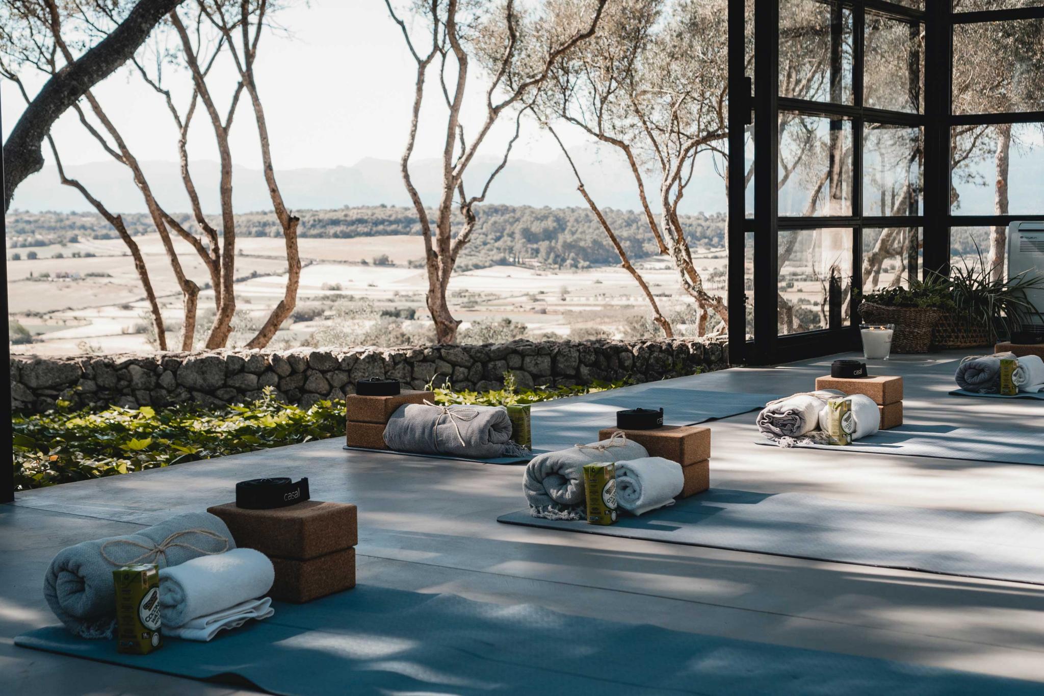 Serena Yoga, Balearic Islands — Outdoor yoga studio with rolled towels on blue mats, cork blocks, bare trees framing valley and water views through floor-to-ceiling windows, natural light casting shadows on stone terrace.