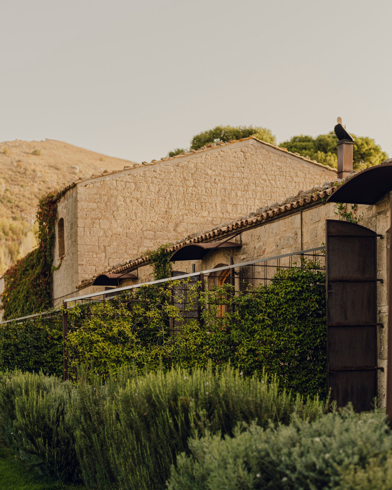 Susafa, Italy — Stone farmhouse with terracotta roof, climbing ivy, lavender garden, and black metal gate on hillside at golden hour.