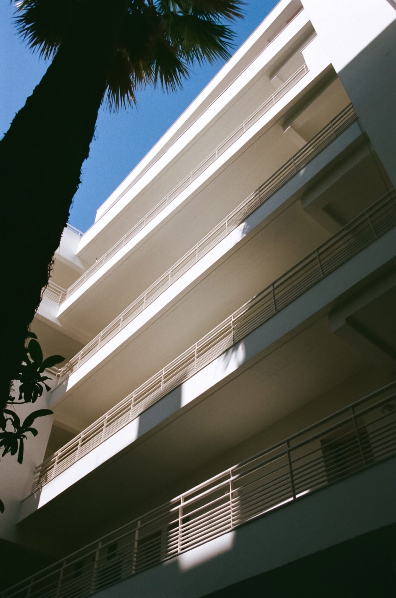 Apollo Palm, Europe — Modernist white facade with stacked balconies, horizontal metal railings, and soft natural light casting shadows against cream-colored concrete and palm tree foliage.