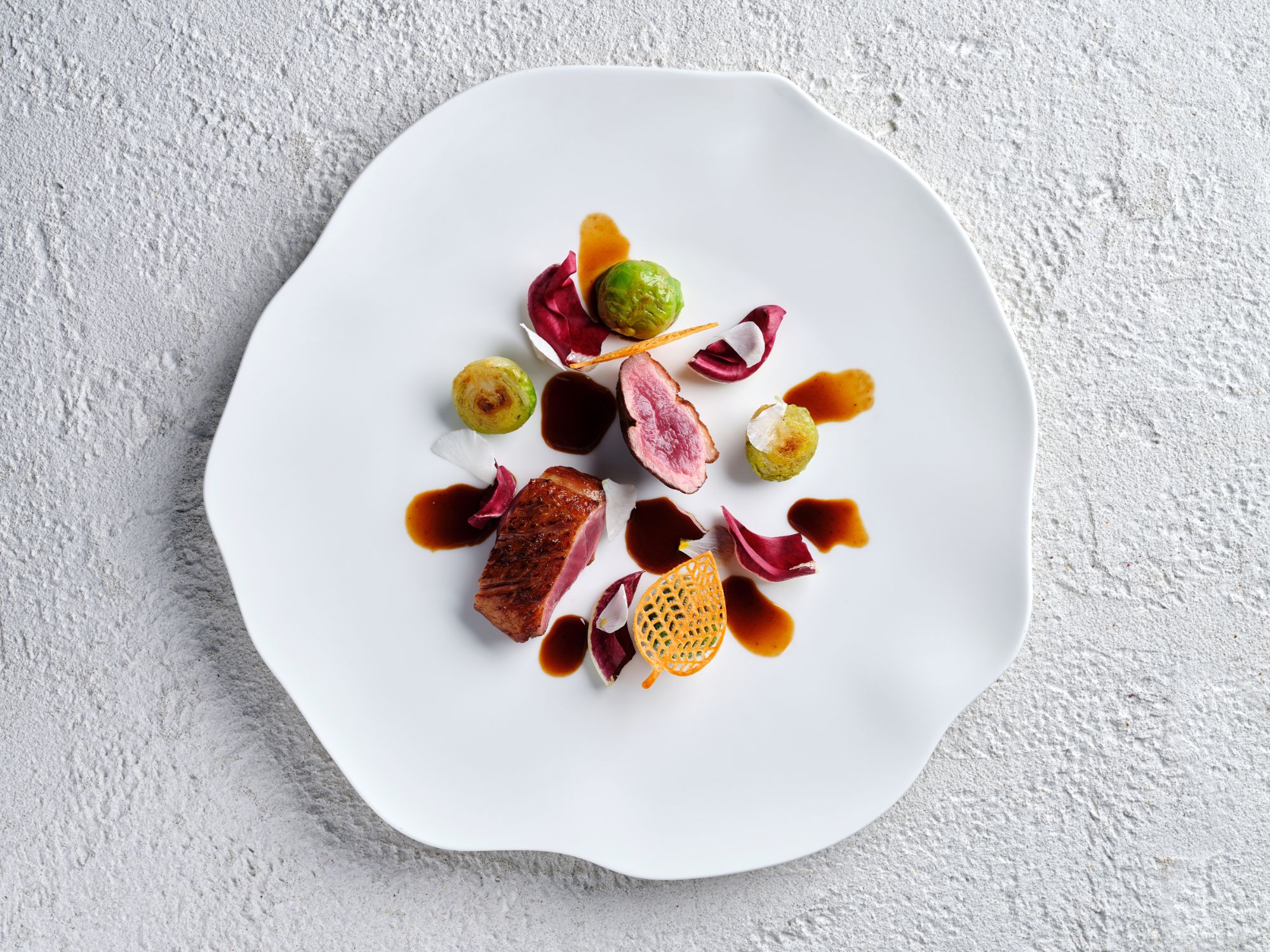 Roncolo 1888, Europe — Plated fine dining dish with seared meat, roasted figs, radicchio petals, and reduction on white porcelain against textured background.
