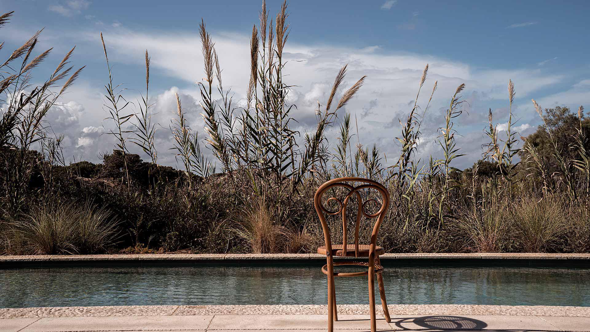 The Rooster, Europe — Bentwood chair facing tranquil canal with tall dried grasses, overcast sky, and sandy waterfront promenade.