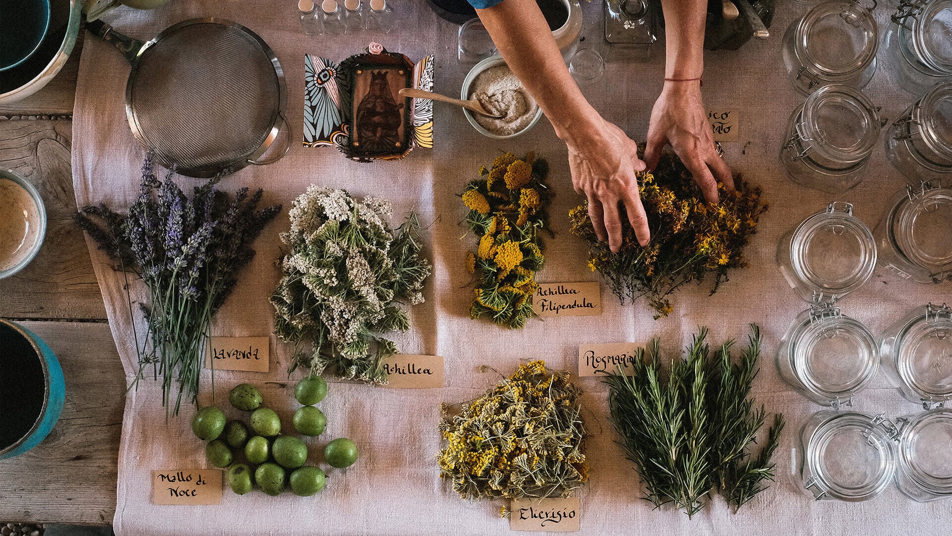 Castello di Reschio, Europe — Overhead view of dried herbs and botanicals arranged with handwritten labels, glass jars, and mortar, capturing artisanal herbal preparation in a culinary studio setting.