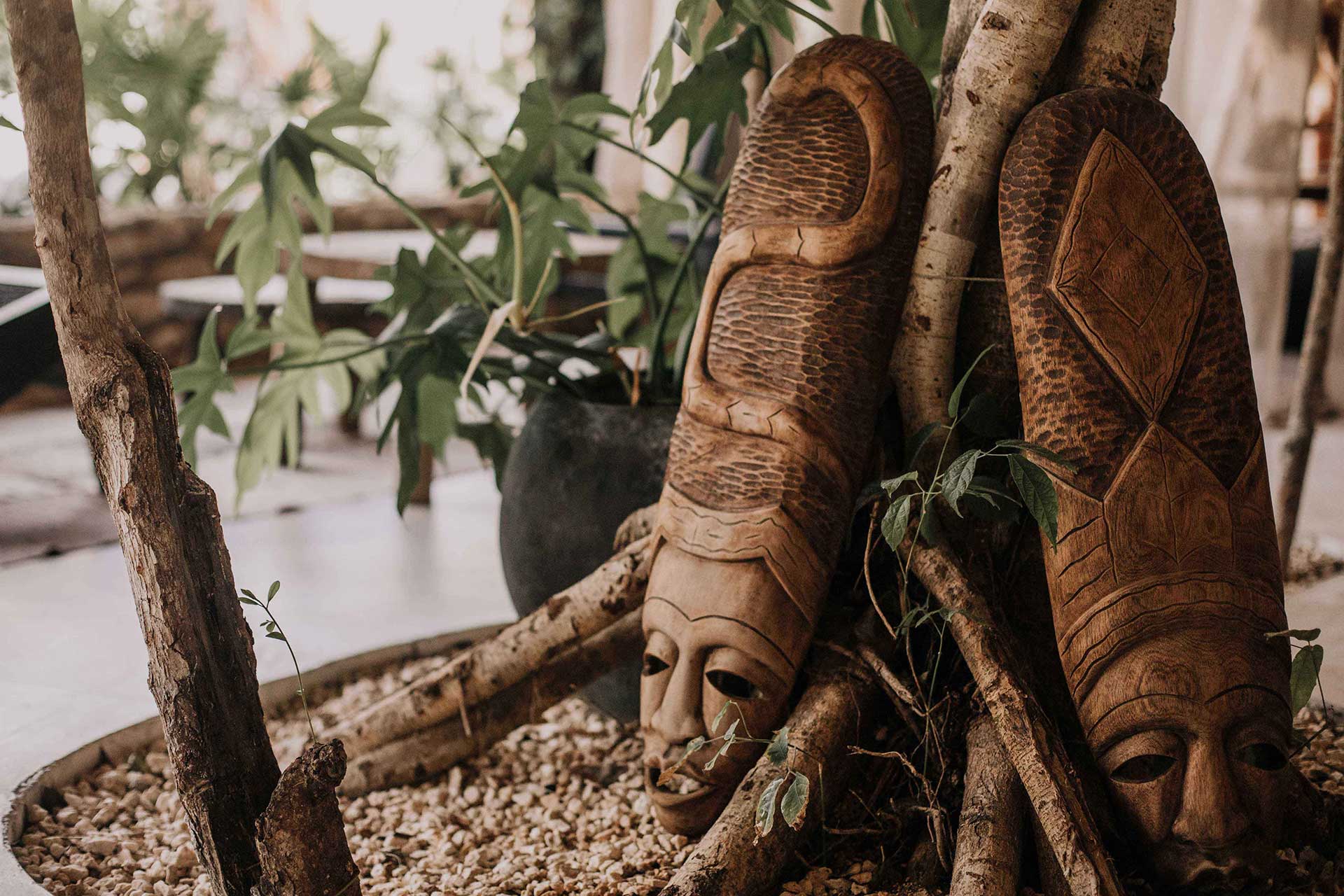 Bardo, Mexico — Carved wooden masks with textured surfaces leaning against tree branches in contemplative interior garden setting with natural light