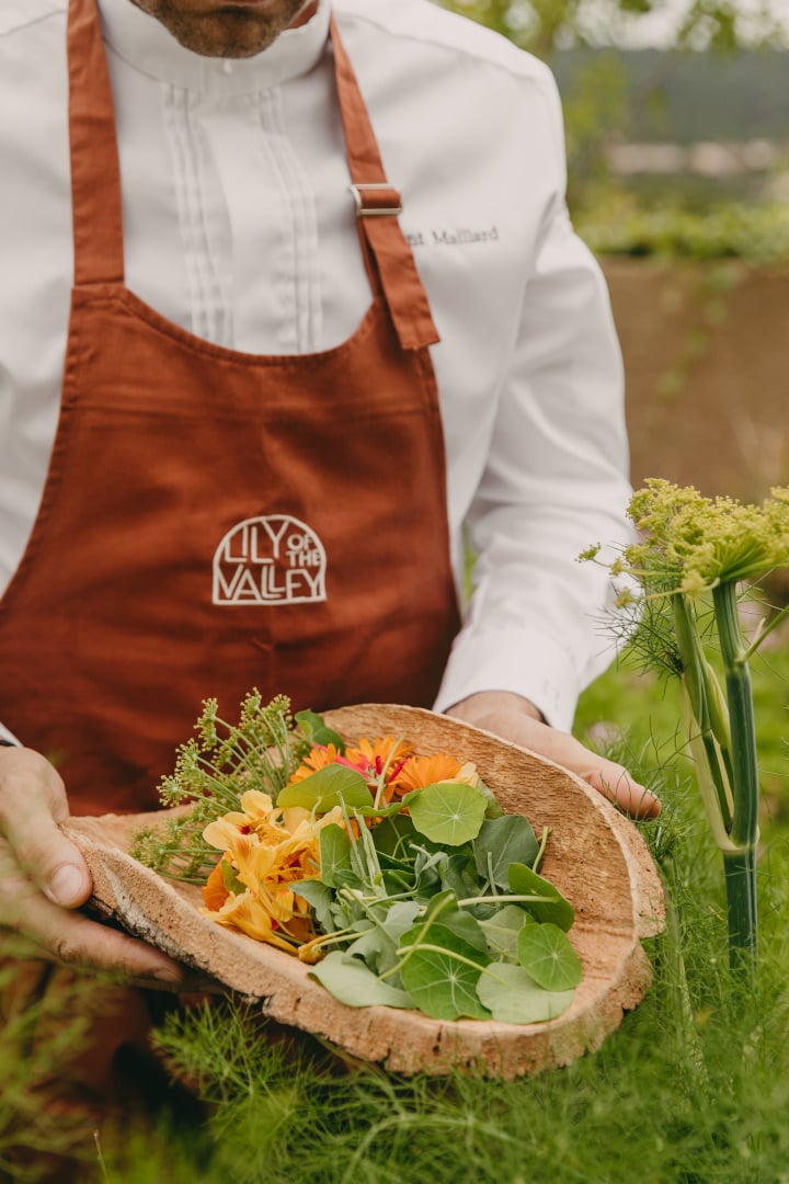 Lily of the Valley, Europe — Chef holding wooden bowl with edible flowers and foraged greens in garden setting, rust linen apron.