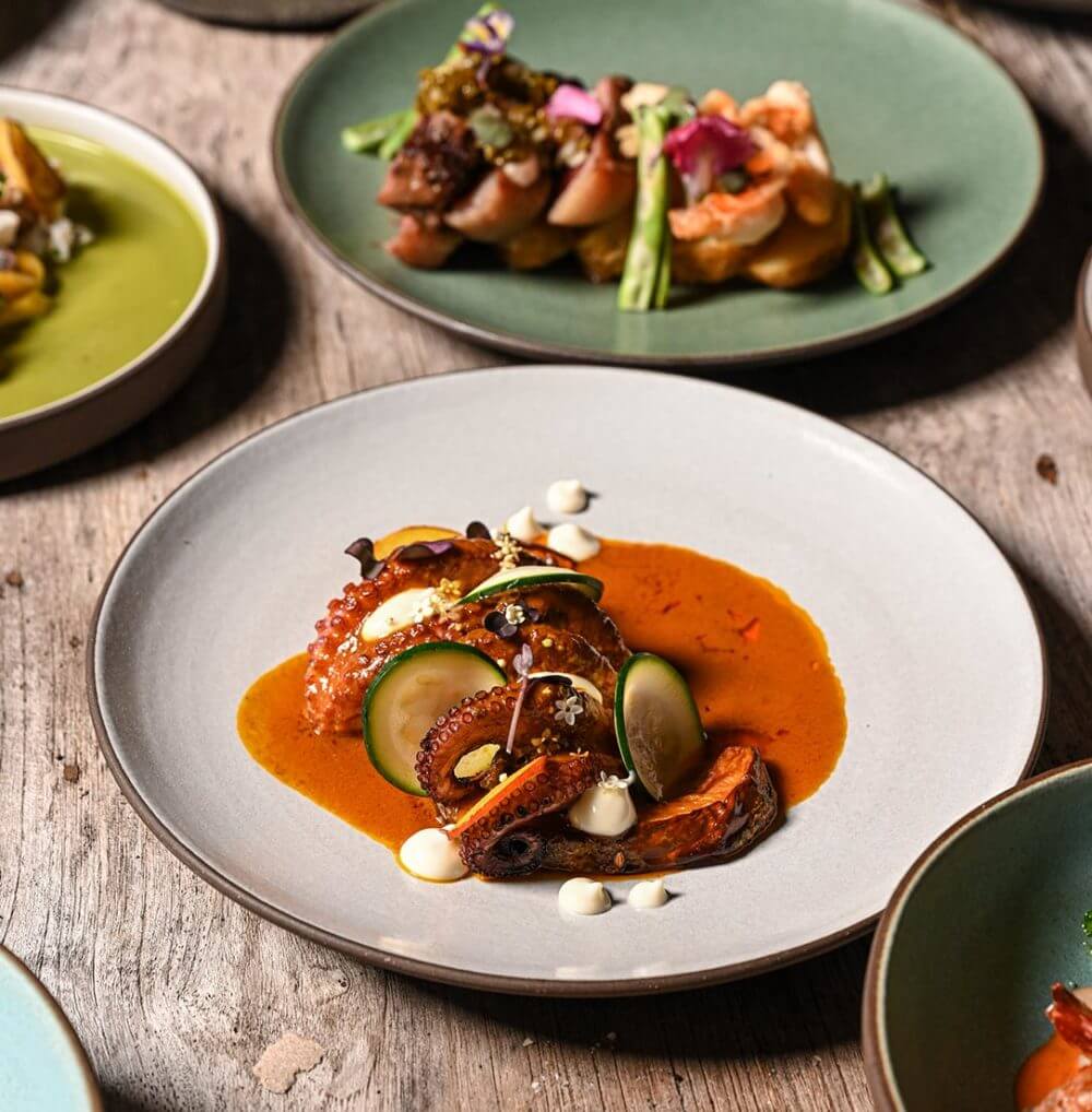 Islas Secas, All Destinations — Octopus carpaccio with orange sauce, cucumber, microgreens and white spheres on white plate, fine dining plating.