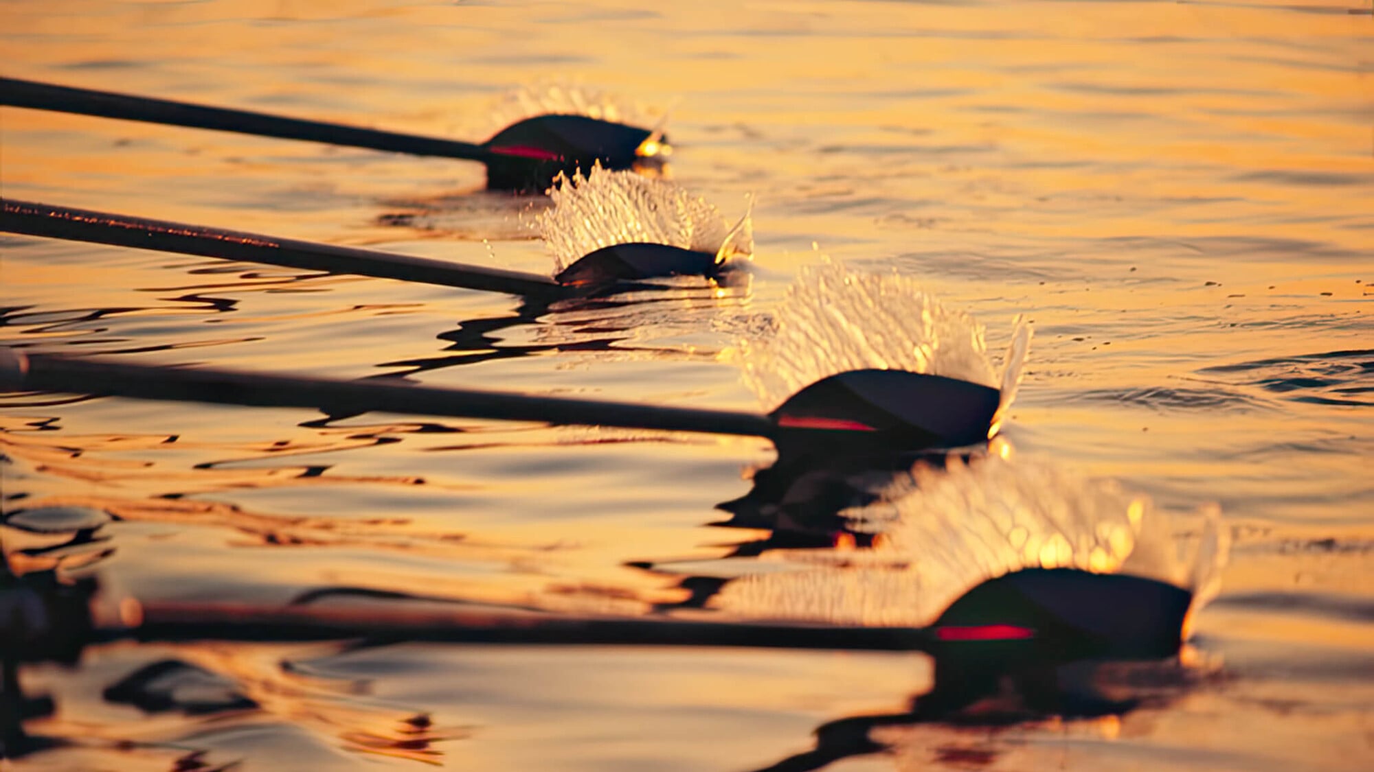 Raw the Golden Horn, Asia — Rowing oars cutting through golden-hour water with spray catching sunlight, capturing athletic precision and waterfront serenity.
