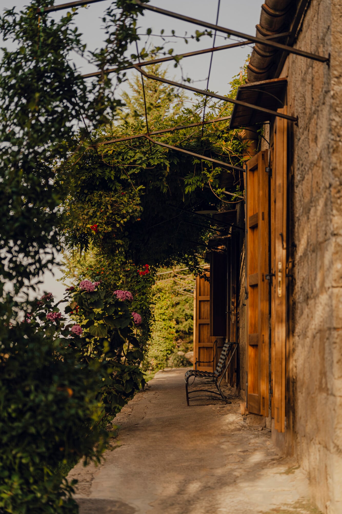 Susafa, Italy — Rustic stone alleyway with wooden doors, climbing vines, pink flowers, and overhead power lines casting shadows in golden afternoon light.