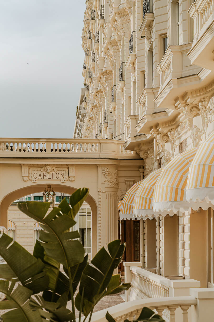 Carlton Cannes, Cannes, France — Cream stone facade with ornate carved details, yellow-striped awning, and succulent plant in foreground, Mediterranean luxury architecture.