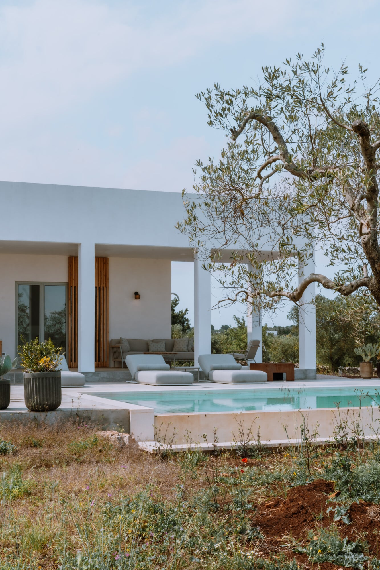 Villa Quercia, Italy — Modernist white villa with wooden accents overlooking infinity pool, gnarled olive tree, and Tuscan landscape under clear sky.