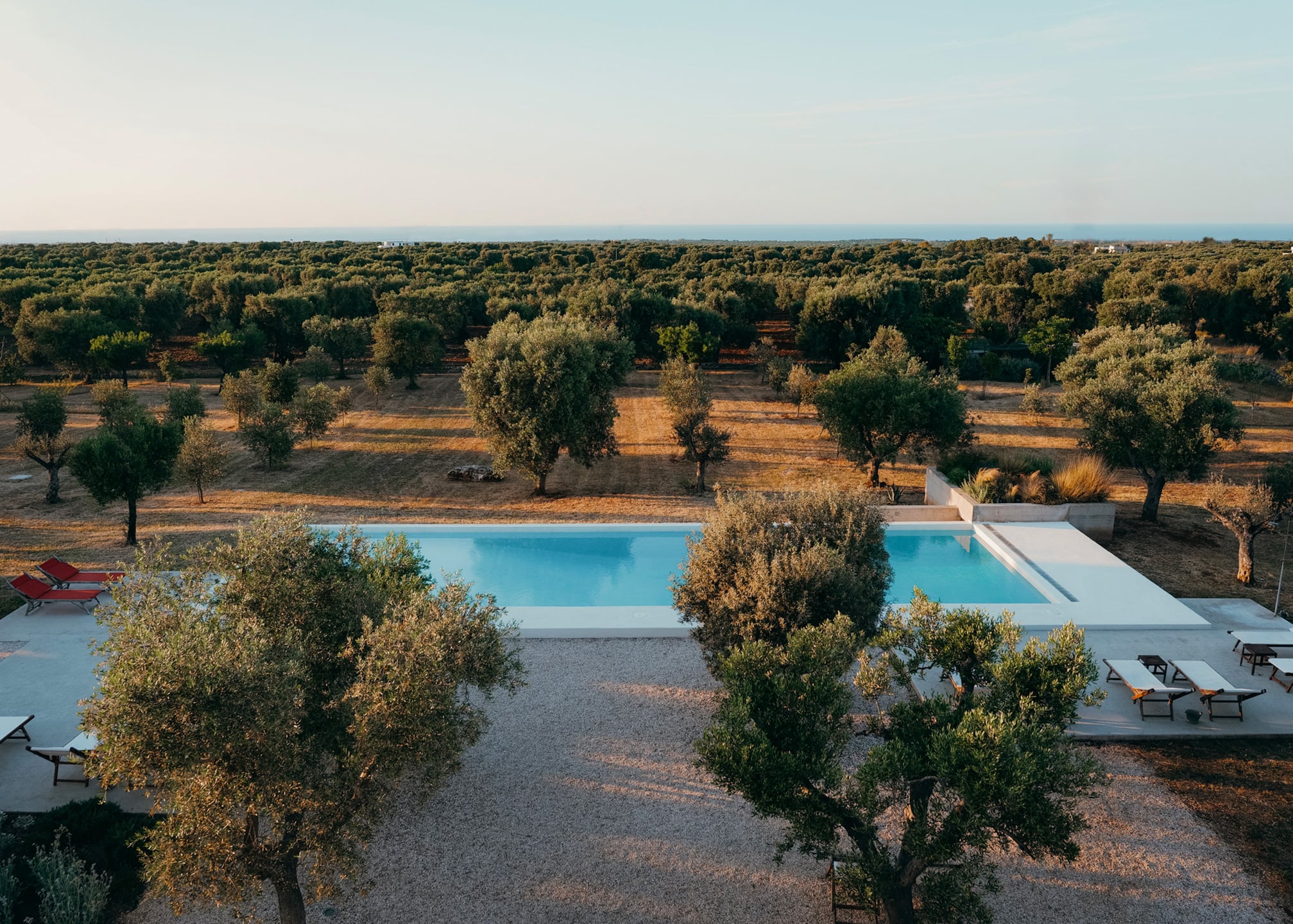 Masseria Moroseta, Europe — Minimalist poolside terrace with cypress trees and olive groves extending across sunlit countryside landscape at dusk.
