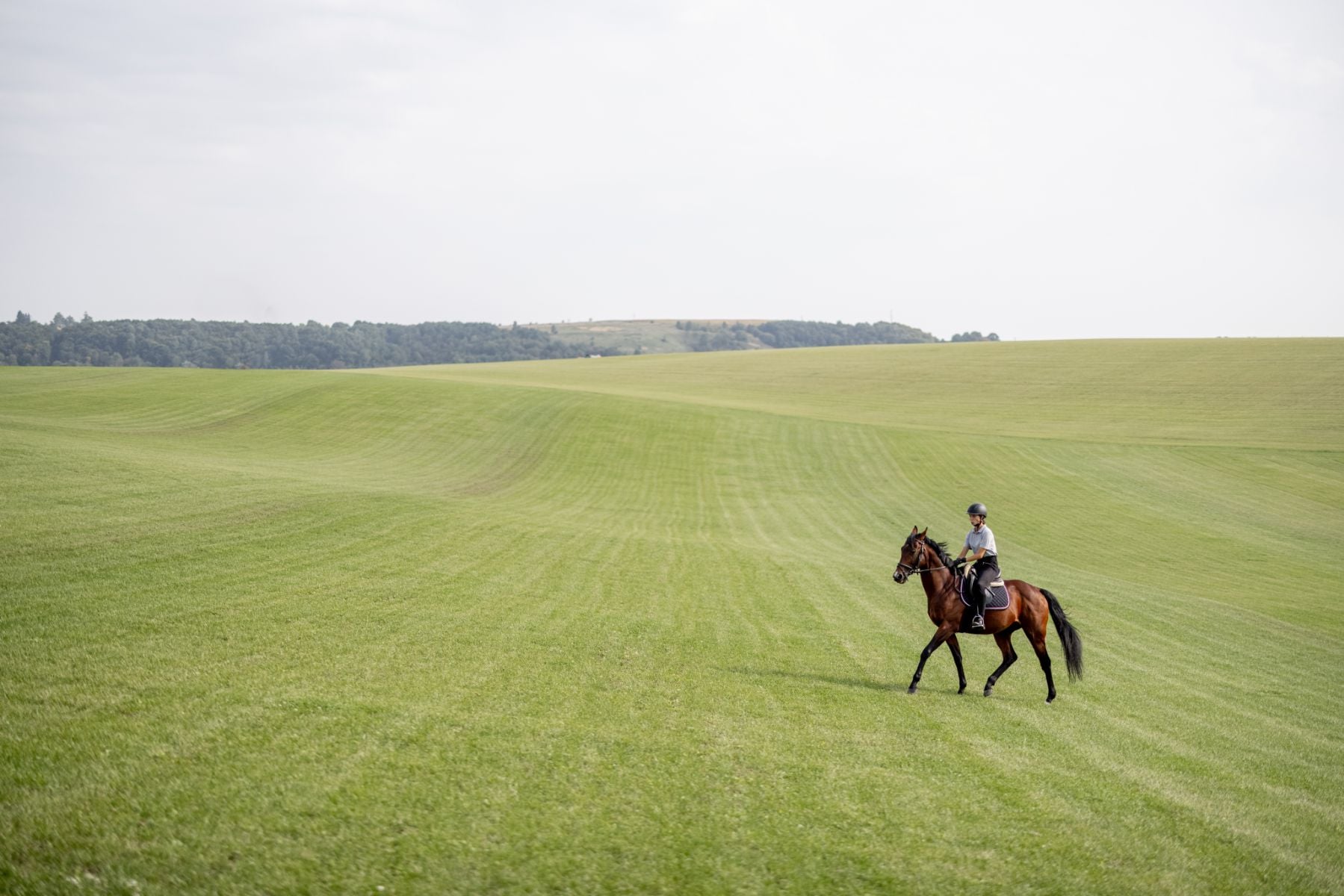 Horseback riding in European countryside — rider on brown horse crossing sprawling green field with tree line and rolling hills under overcast sky.