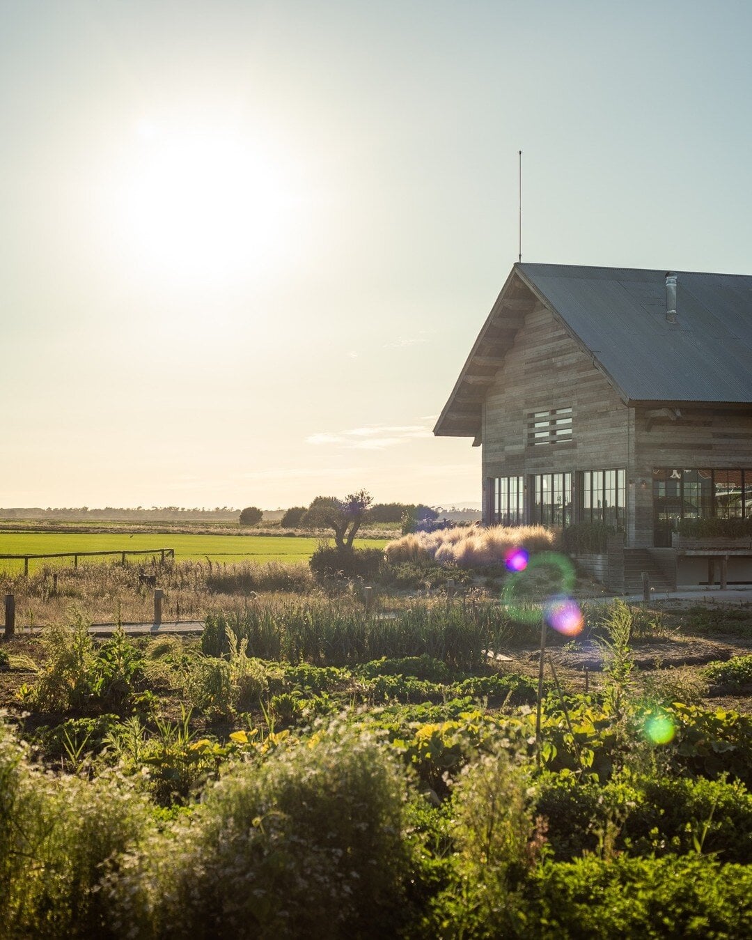 Quinta da Comporta, Europe — Modern timber cottage with floor-to-ceiling windows overlooking vegetable garden and flat agricultural landscape at golden hour.