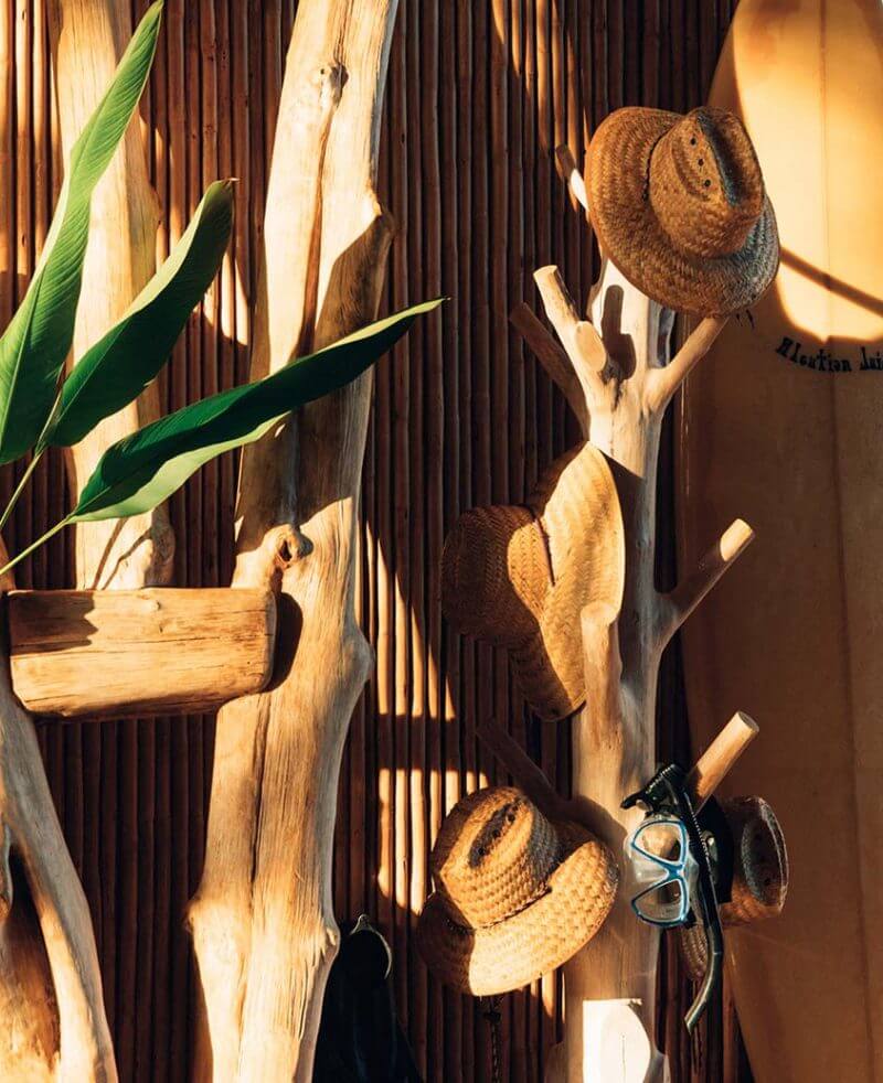 Islas Secas — Weathered driftwood display with woven straw hats, eyeglasses, and tropical plants casting shadows against corrugated wall.