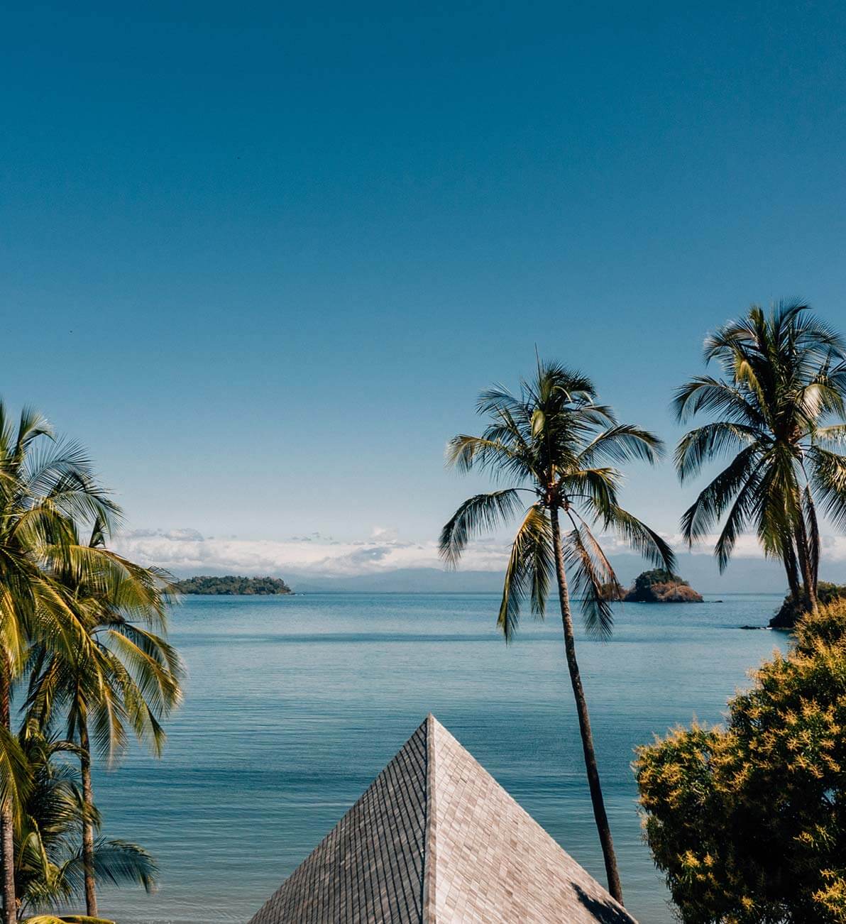 Islas Secas — Tropical island resort view with palm trees, tiled roof peak, and turquoise waters under clear sky