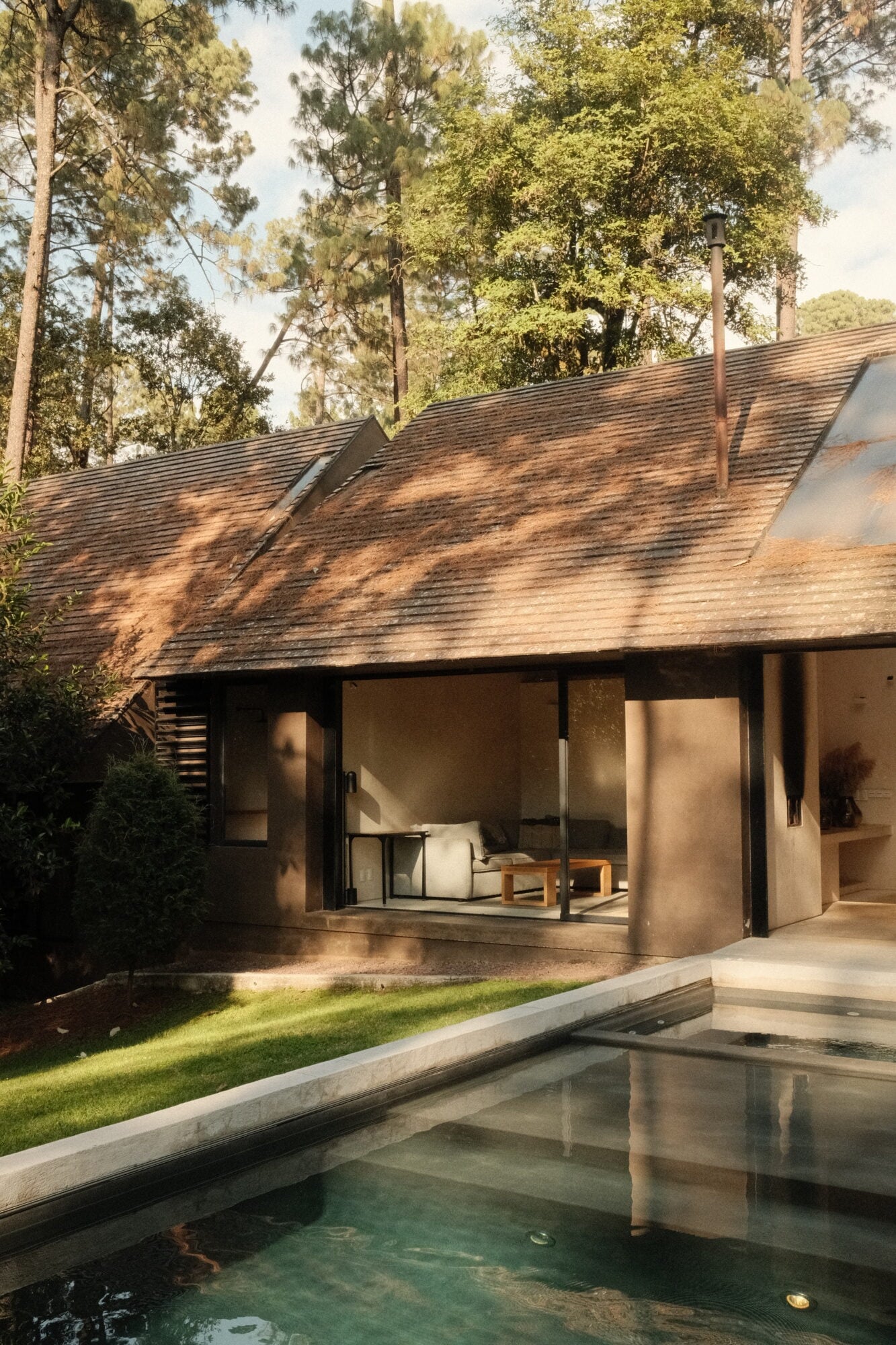 Casa Zarzales, Mexico — Contemporary timber-clad villa with floor-to-ceiling glazing overlooking reflecting pool, surrounded by tall pine forest and dappled sunlight.
