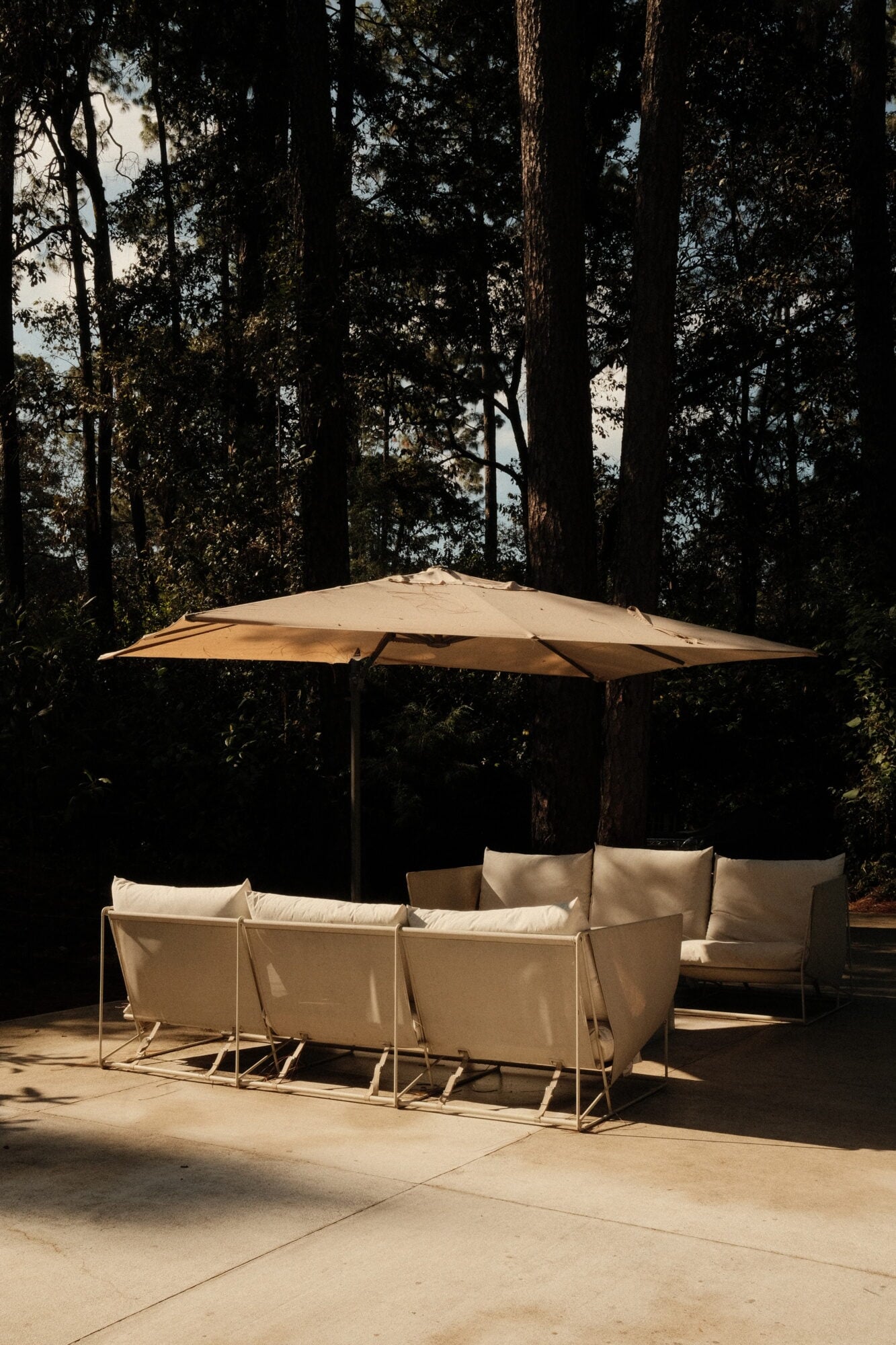 Casa Zarzales, Mexico — Beige lounge seating with cream pillows beneath a rectangular umbrella, backed by tall dark forest trees on a stone terrace.