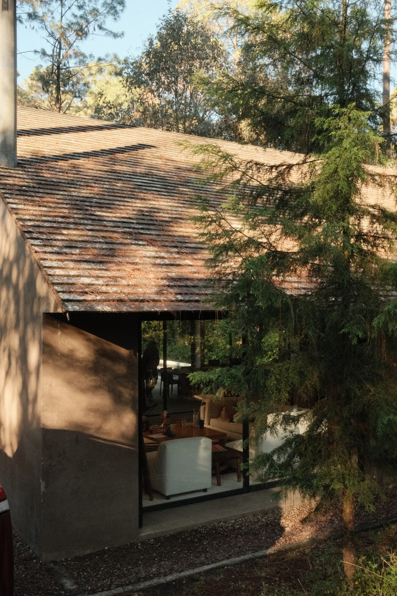 Casa Zarzales, Mexico — Modernist pavilion with weathered timber roof, concrete walls, and floor-to-ceiling glazing opening to forest canopy, dappled afternoon light.