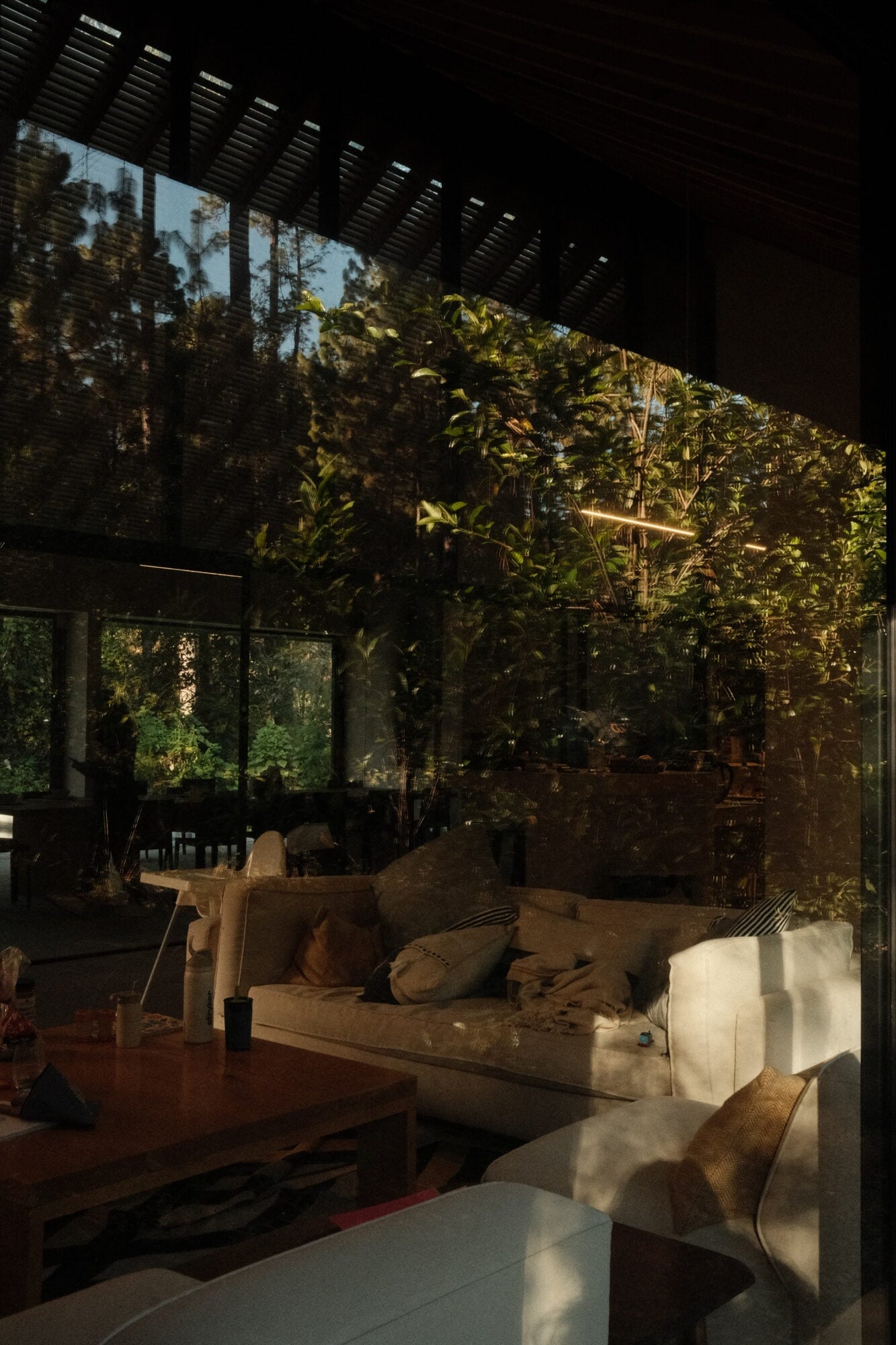Sunlit interior at Casa Zarzales with cream seating, wooden table, and lush vegetation visible through floor-to-ceiling glass and slatted overhead screening.