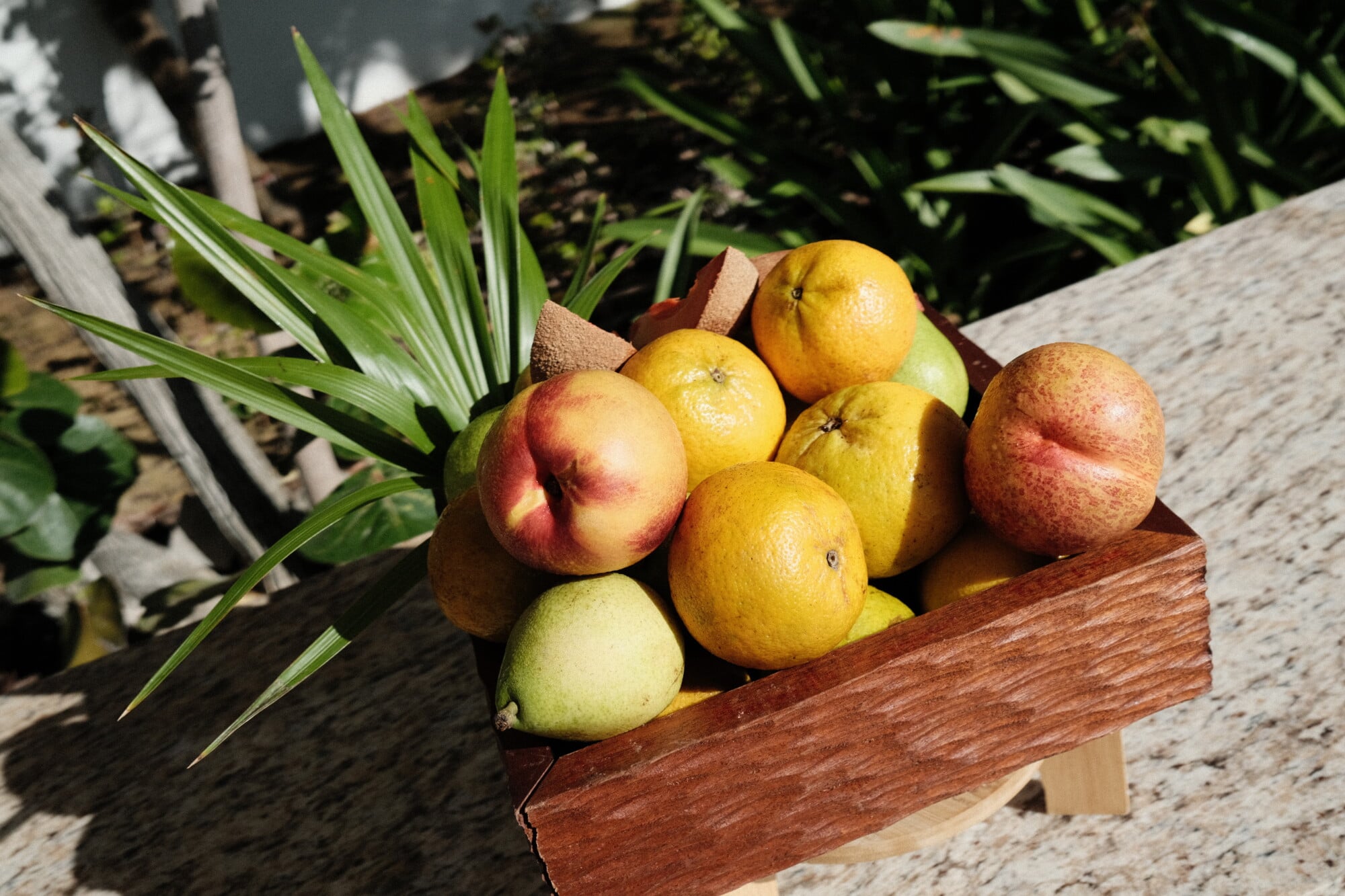 Maroma, A Belmond Hotel, Mexico — Fresh citrus fruits and apples arranged in wooden box with tropical greenery, morning sunlight casting shadows.