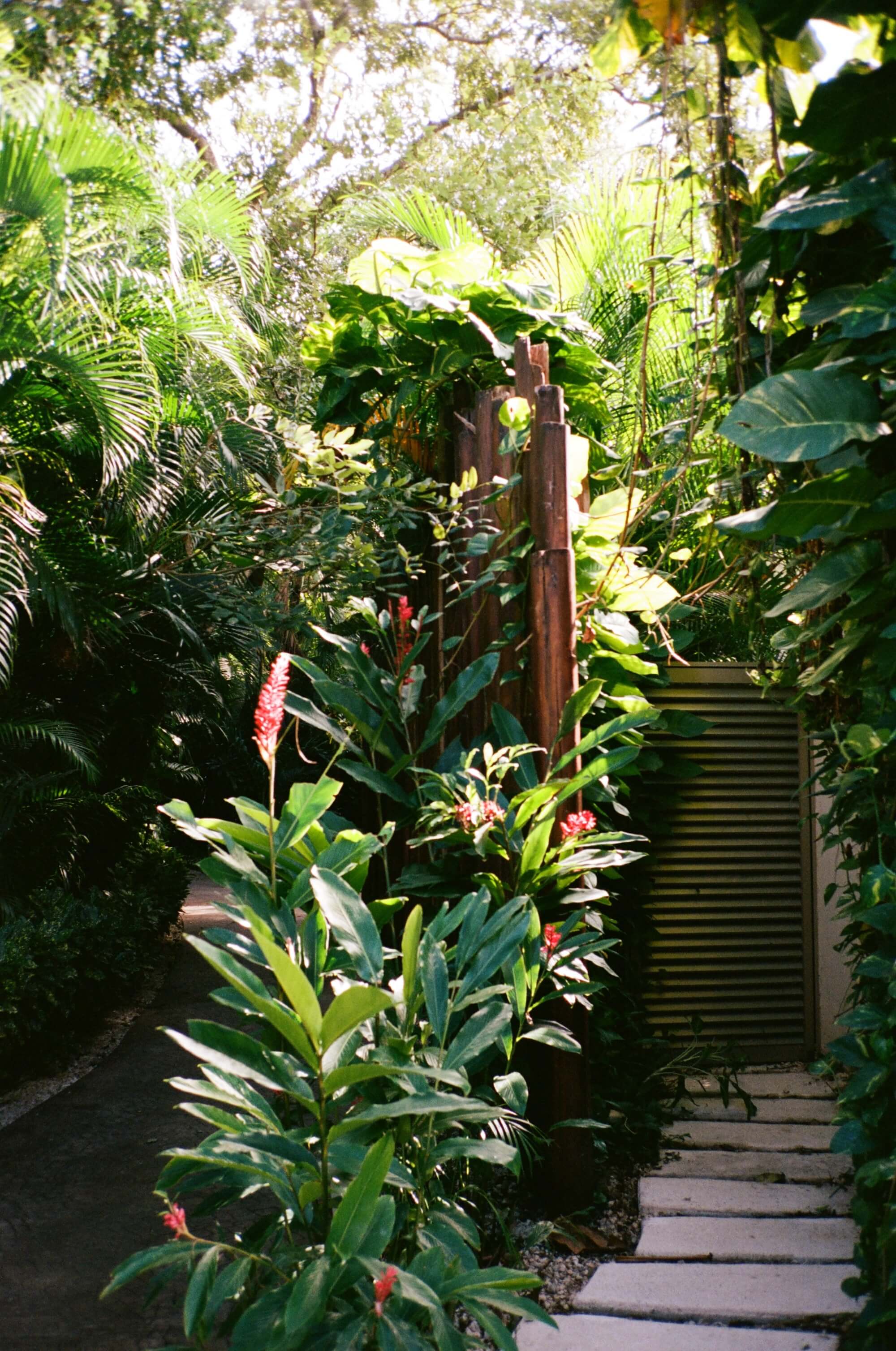 Rosewood Mayakoba, Mexico — Wooden gate opening onto lush tropical garden with red ginger flowers, stone pathway, and dappled sunlight through palm canopy.