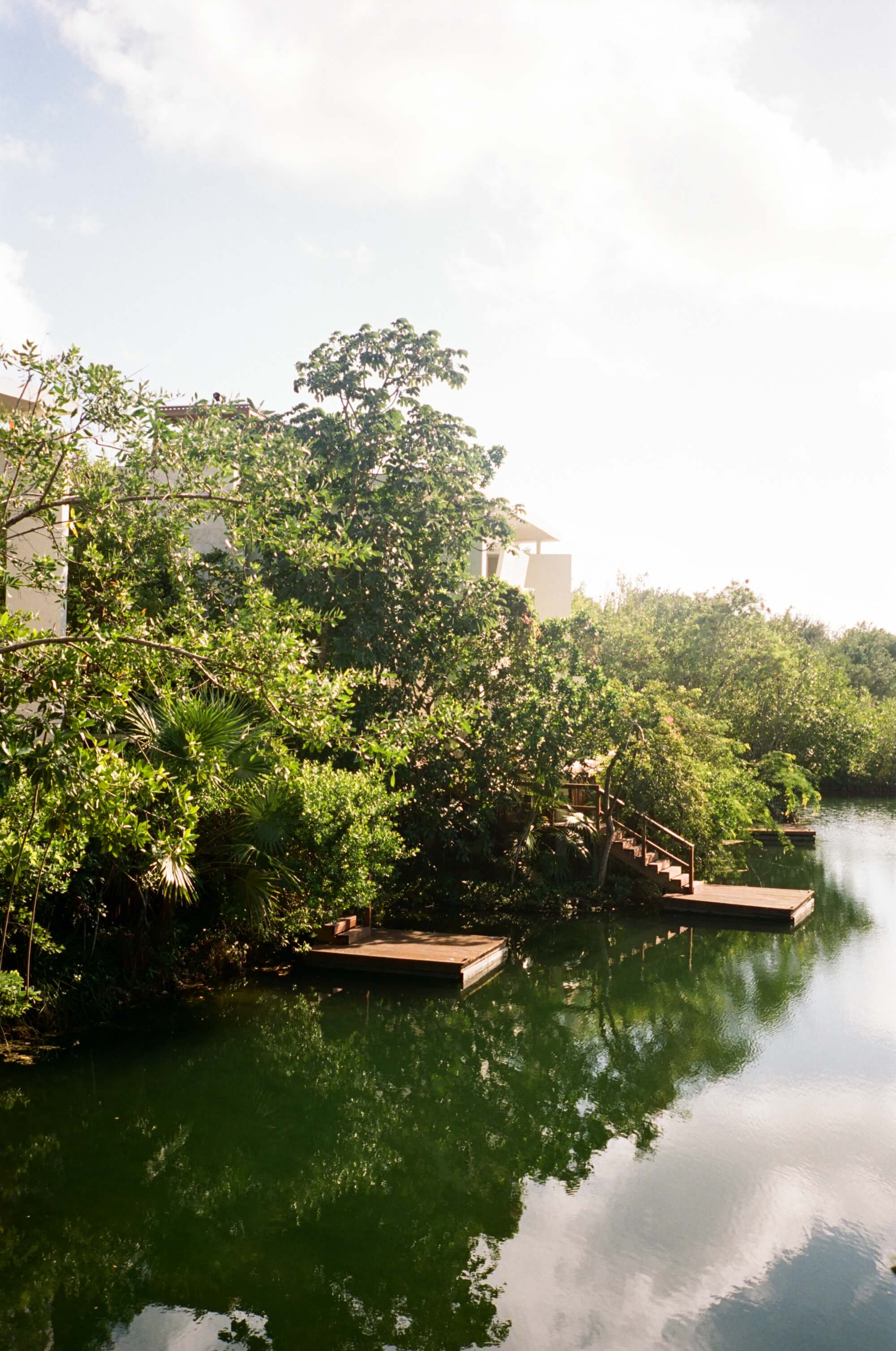 Rosewood Mayakoba, Mexico — Wooden boardwalks and stairs wind through dense mangrove vegetation alongside still lagoon waters, modern architecture visible beyond lush canopy.