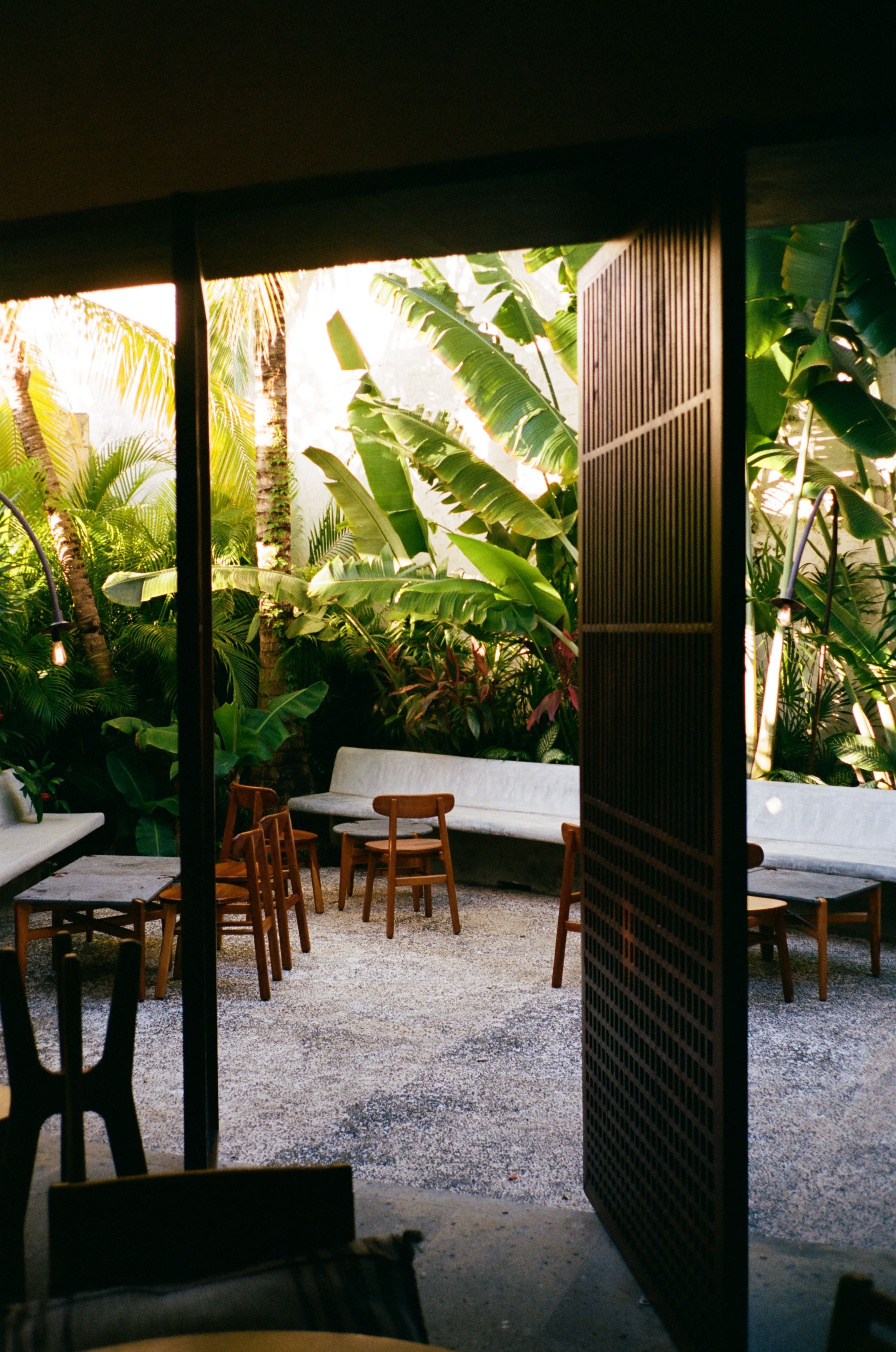 Rosewood Mayakoba, Mexico — Tropical courtyard with banana plants, teak furniture, gravel flooring, and black-framed colonnade opening to lush garden pavilion.