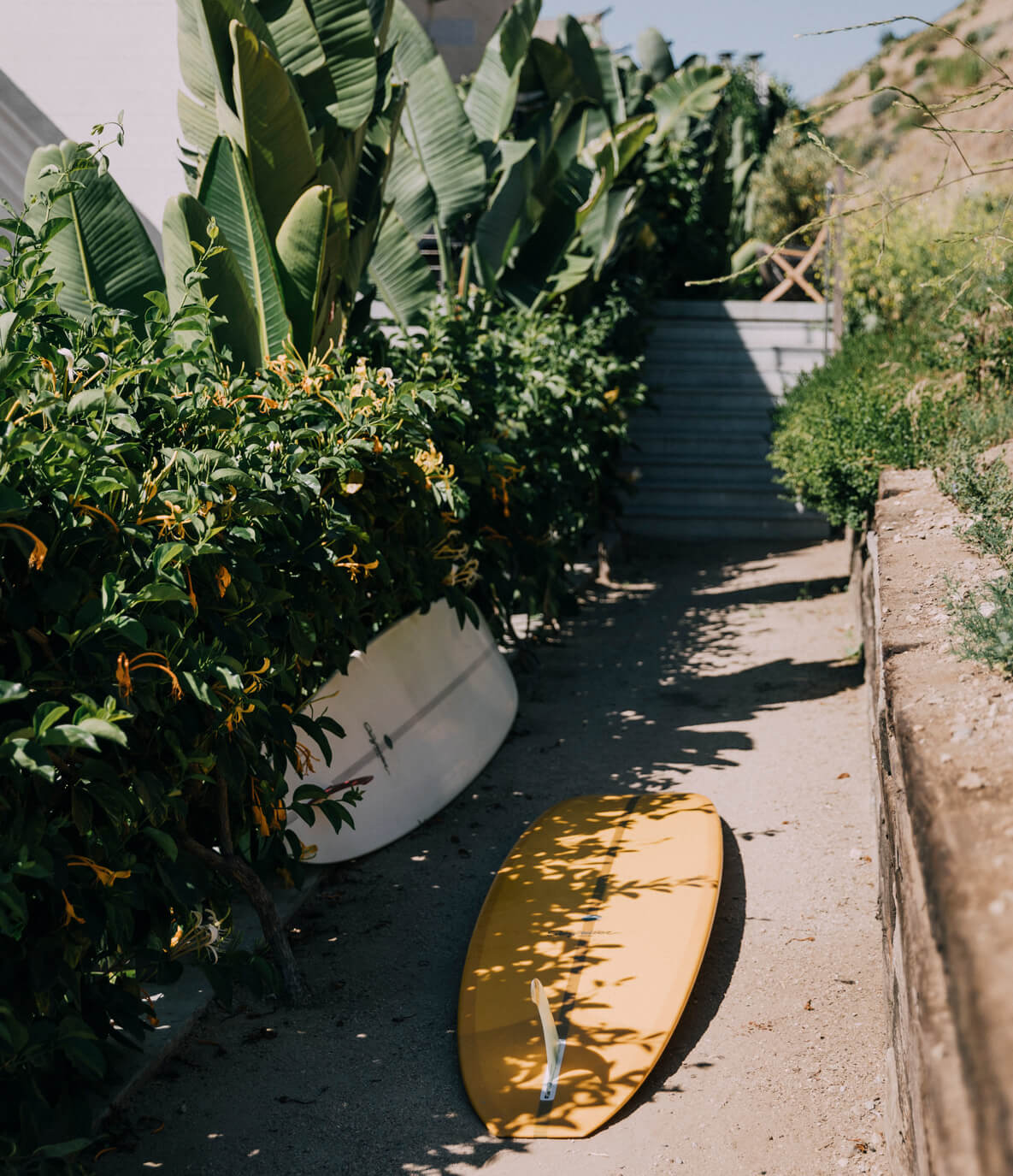 The Surfrider, North America — Yellow surfboard leaning against white planter in sun-dappled garden pathway lined with banana plants and coastal vegetation.