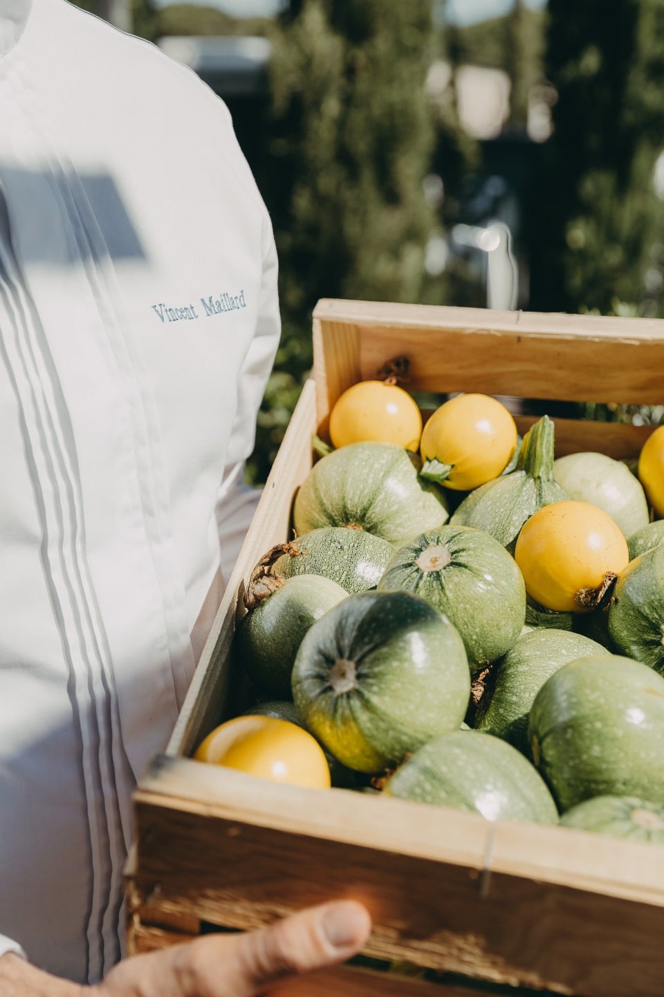 Vista — Person in striped linen shirt holding wooden crate of fresh green melons and yellow fruits in sunlit garden setting.