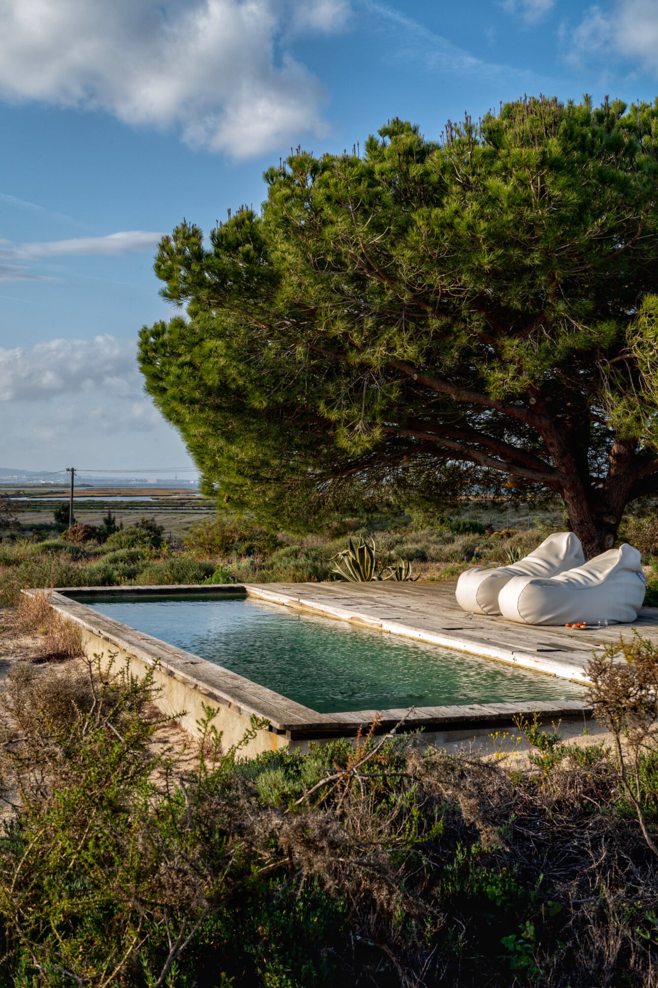 Casas na Areia, Europe — Rectangular pool with mineral-green water beneath towering stone pine tree, white sculptural loungers, arid coastal landscape at horizon.