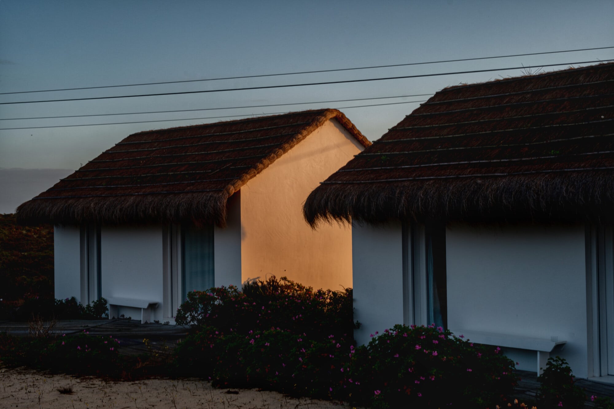 Casas na Areia, Europe — White-walled beach houses with thatched roofs and large windows, golden hour light, flowering shrubs, minimalist coastal architecture.