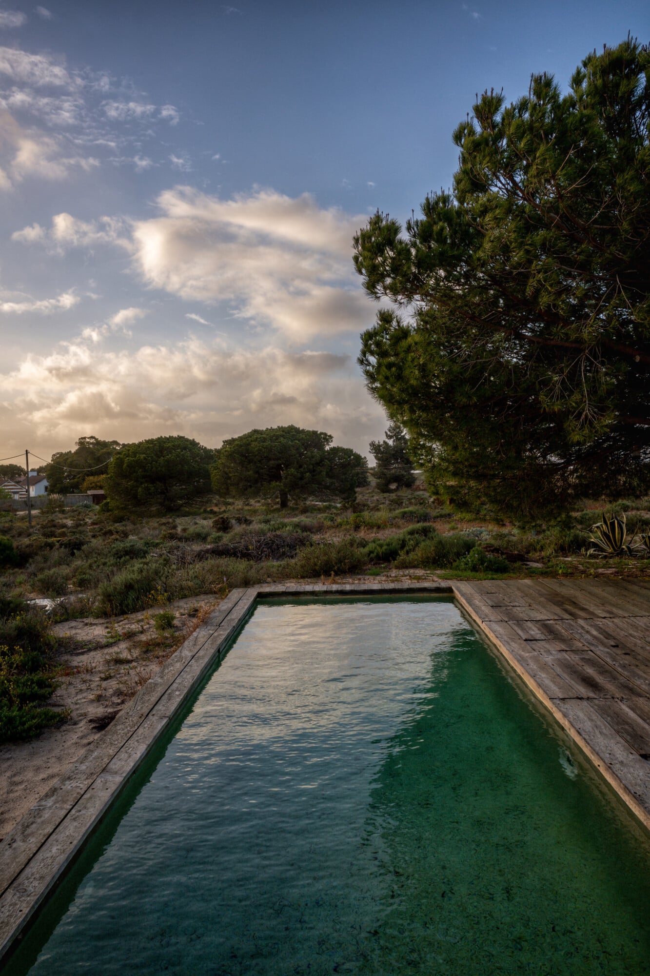 Casas na Areia, Europe — rectangular infinity pool with turquoise water overlooking scrubland, pine trees, and clouded sky at dusk