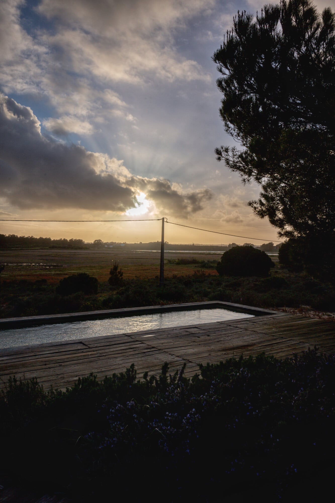 Casas na Areia, Europe — wooden deck with infinity pool overlooking marshland at golden hour, cypress trees and wildflowers framing architectural minimalism.
