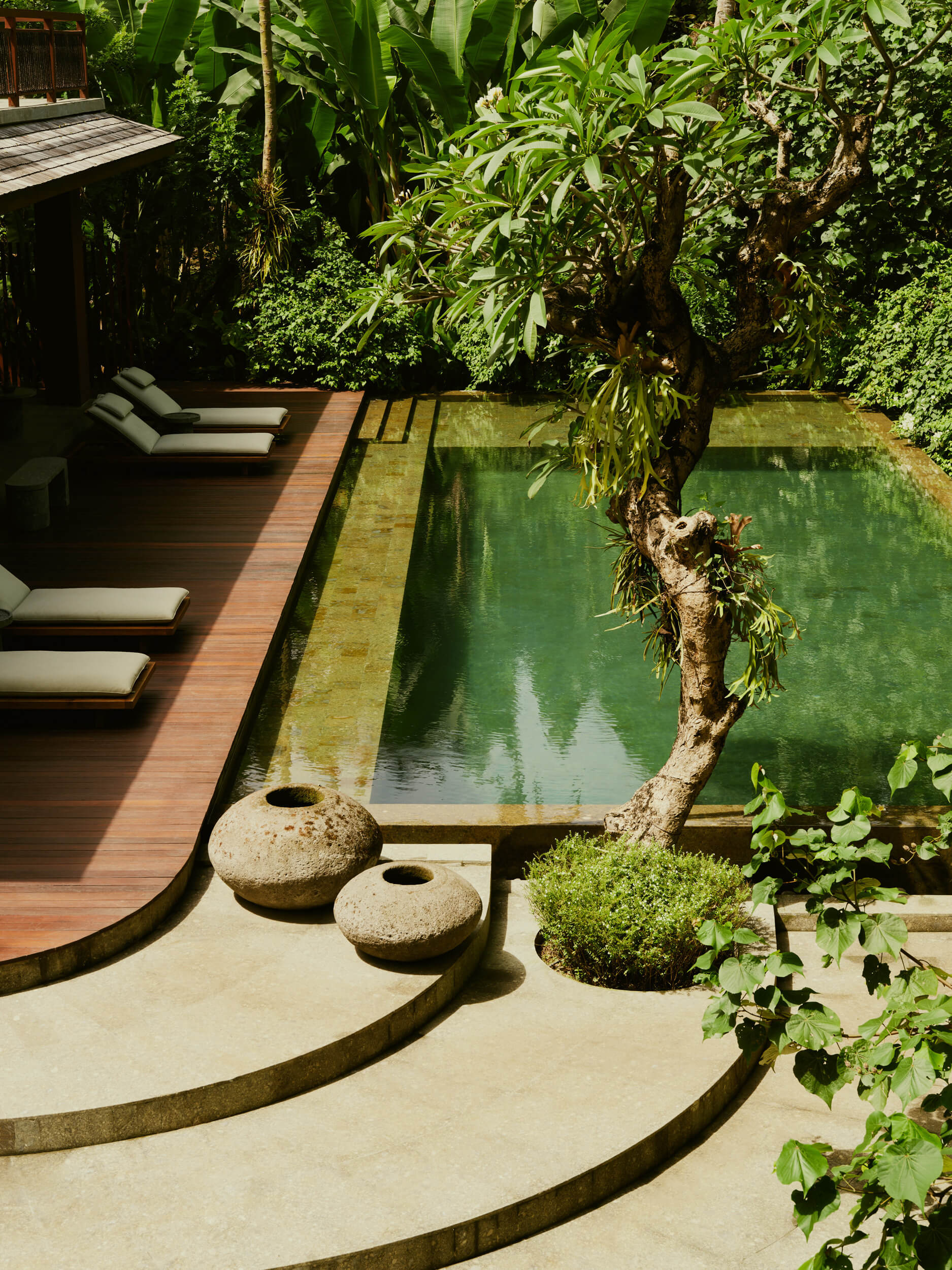 Lost Lindenberg, Asia — Wooden deck with lounge chairs overlooking algae-green pool, concrete stepping stones, stone water vessels, and lush tropical vegetation.