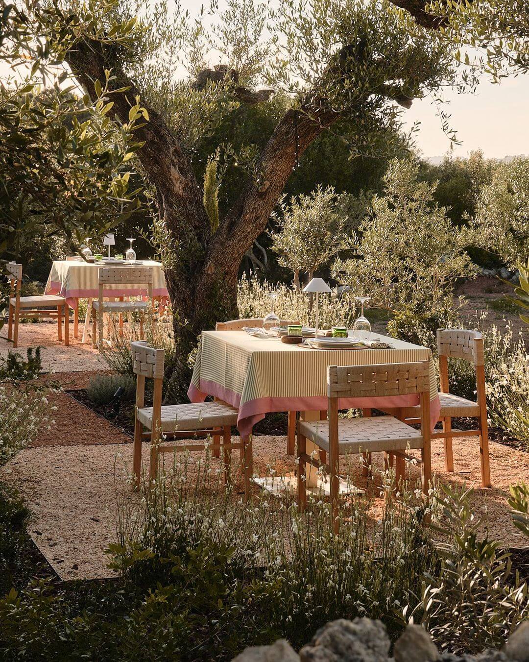 Amagatay, Balearic Islands — Dining tables beneath ancient olive trees in Mediterranean garden with striped linen tablecloths and wooden chairs.