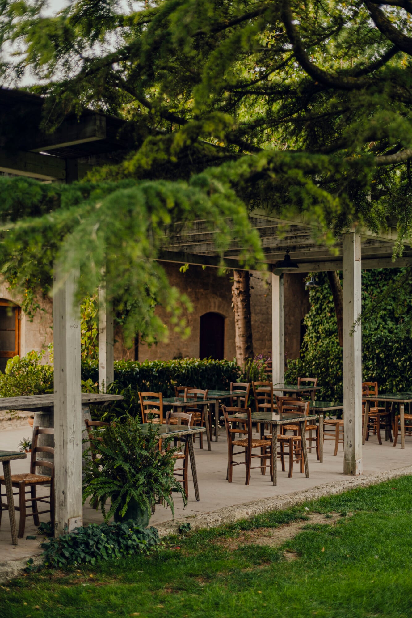 Susafa, Italy — Pergola-shaded courtyard with wooden chairs, ivy-covered stone walls, and dappled natural light filtering through mature trees.