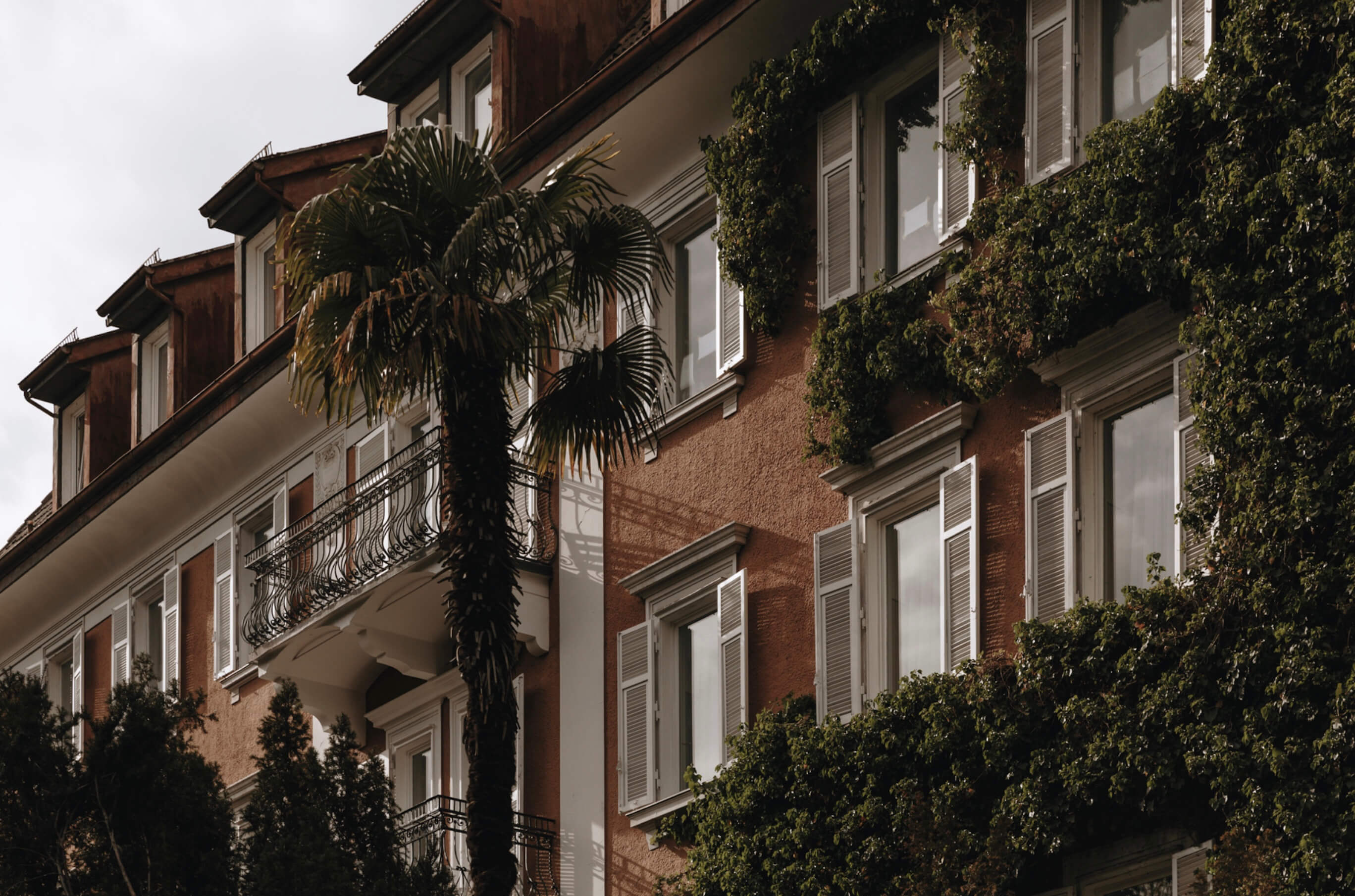 Parkhotel Mondschein, Europe — Ivy-draped brick facade with palm tree, ornate wrought-iron balconies and shuttered windows, classical European architecture.