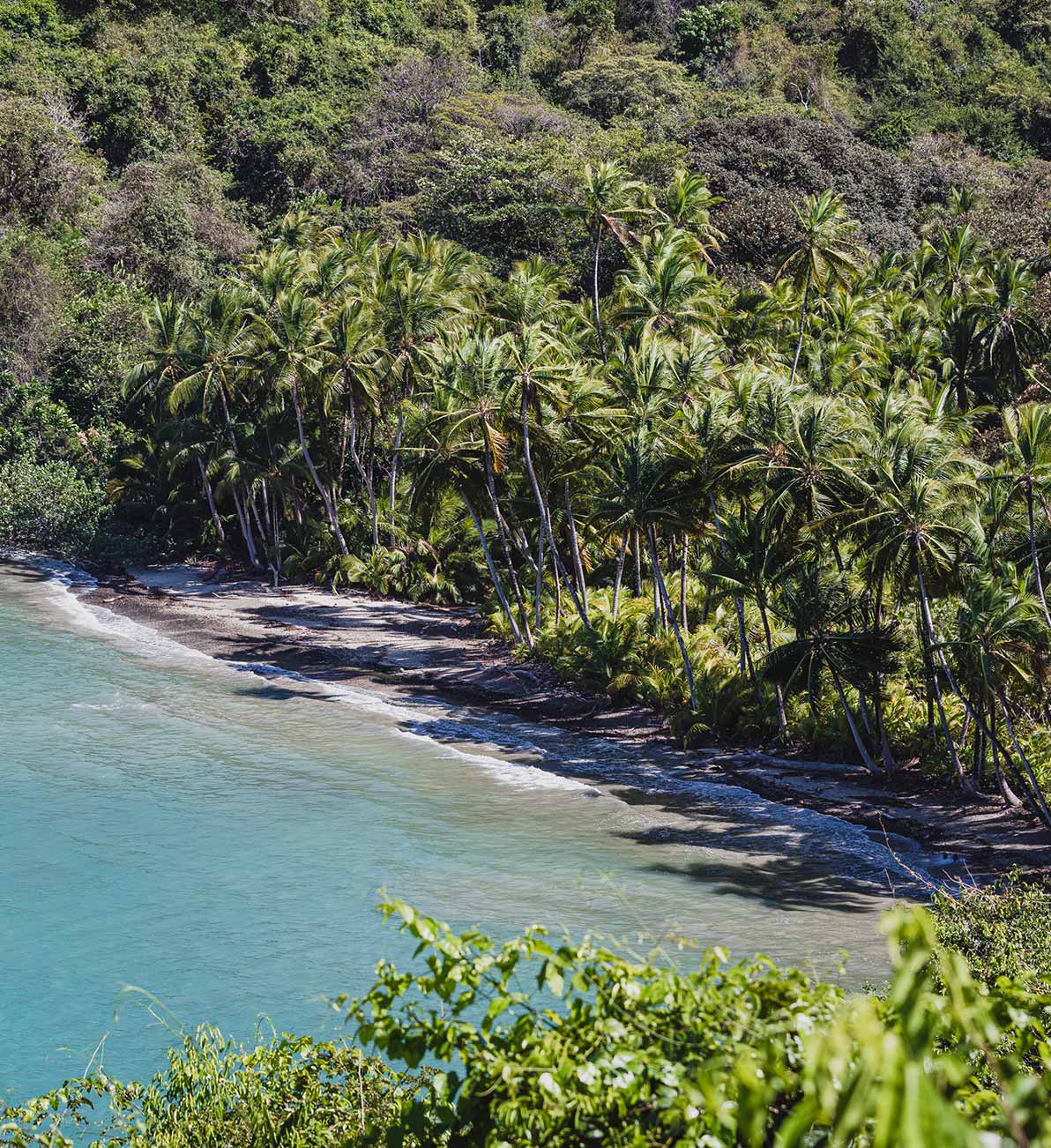 Nature Trails — turquoise lagoon with black sand beach, coconut palms, and dense tropical forest canopy in afternoon light.
