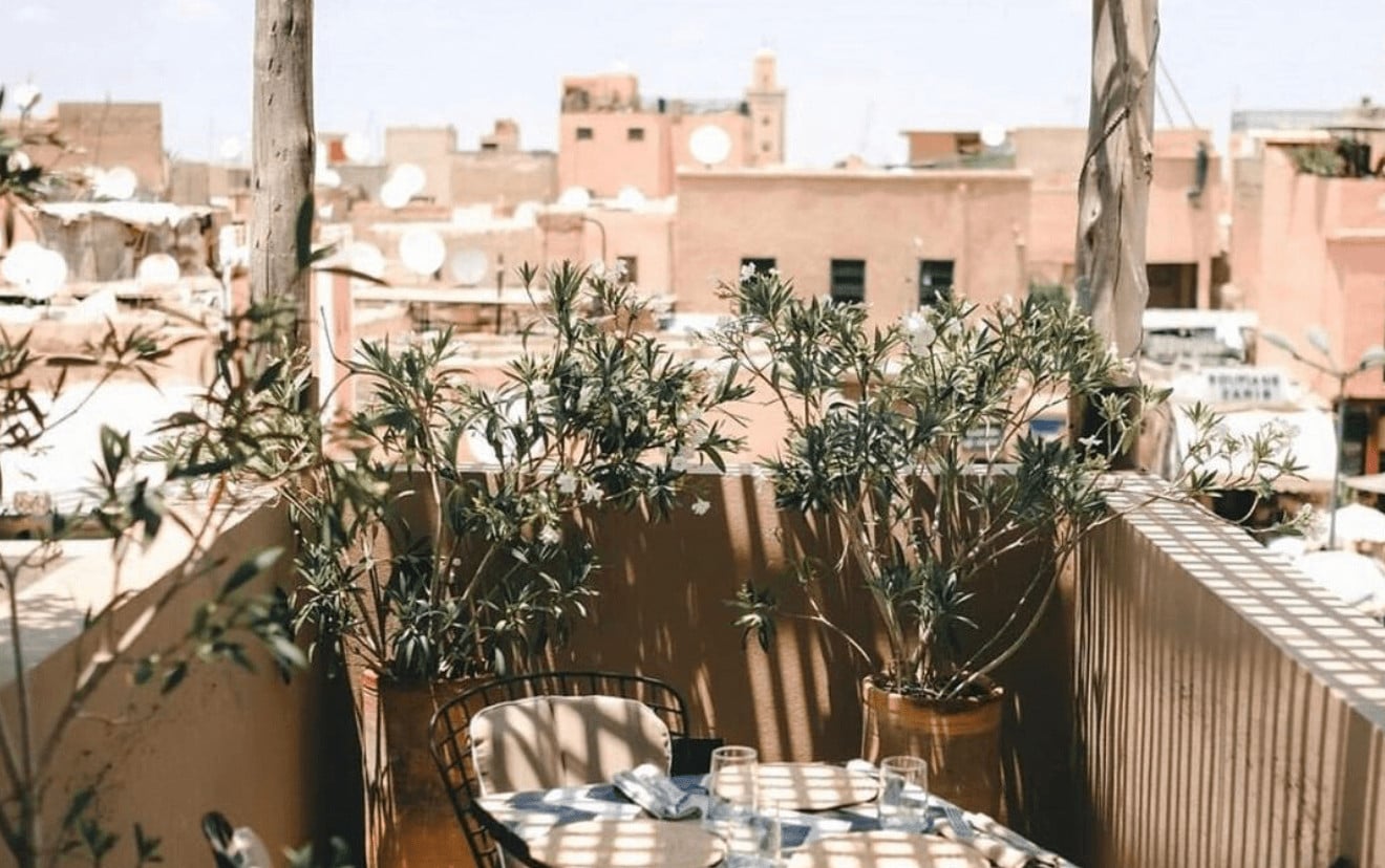Nomad, Africa — Rooftop terrace with olive trees in planters, earth-toned clay buildings, dappled sunlight casting shadows on table, desert medina architecture.